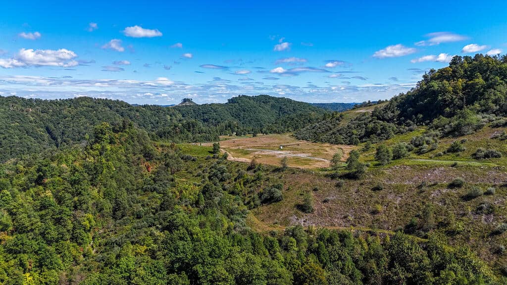 Blankenship Acres | 216 Acres in Virginia’s Elk Country