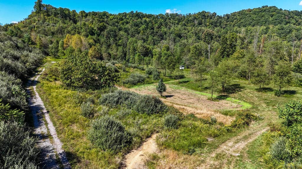 Blankenship Acres | 216 Acres in Virginia’s Elk Country