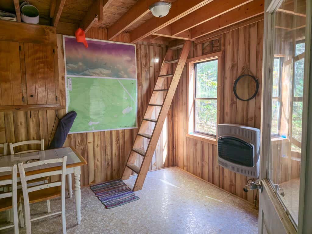 66 Acres of Mountain Paradise Bordering National Forest!