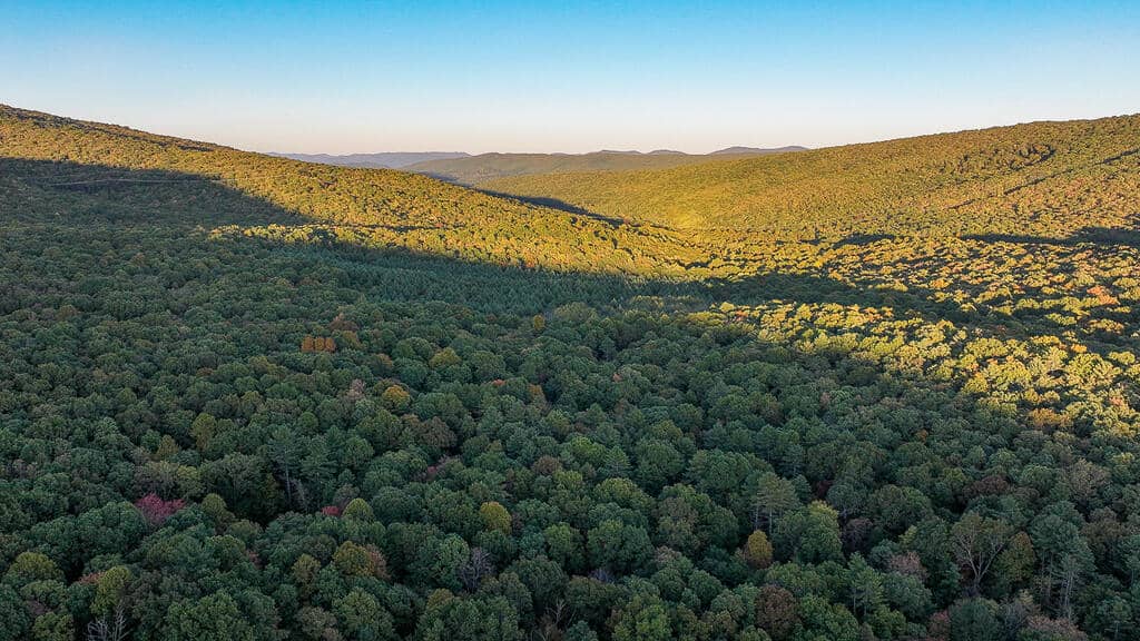 66 Acres of Mountain Paradise Bordering National Forest!