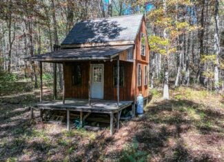 66 Acres of Mountain Paradise Bordering National Forest!