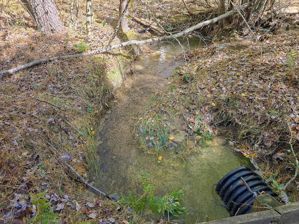 66 Acres of Mountain Paradise Bordering National Forest!