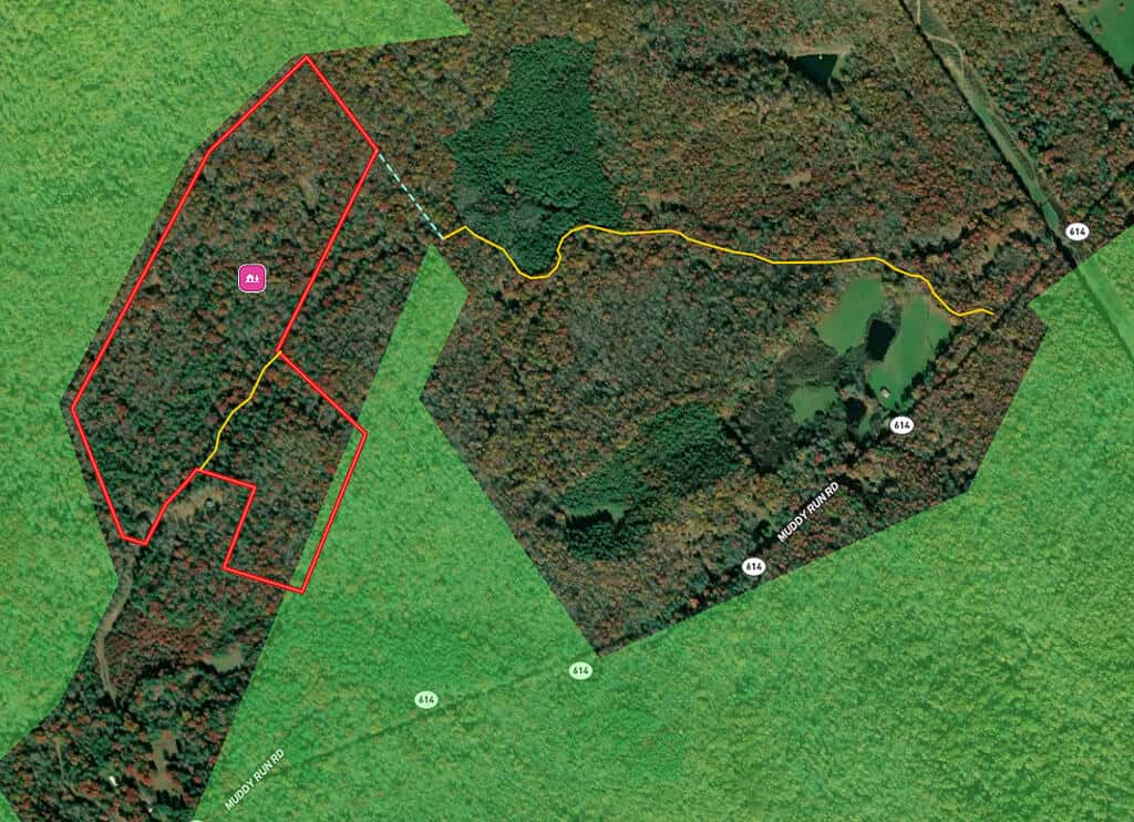 66 Acres of Mountain Paradise Bordering National Forest!