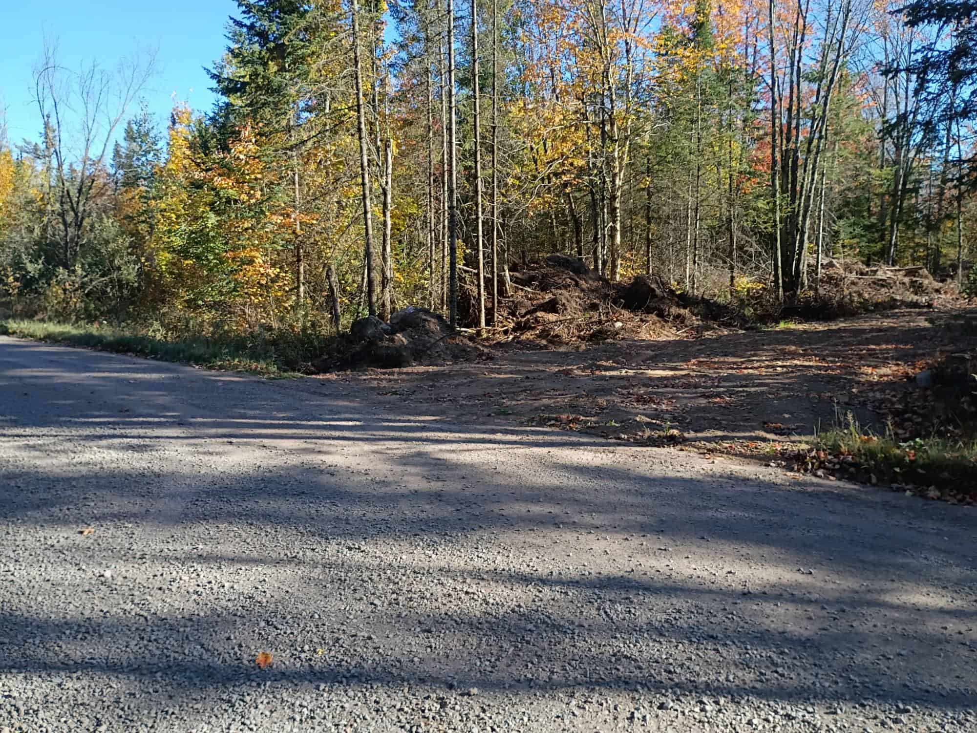 160 ± Acre Hunting Land with Camp Site Near Butternut, WI