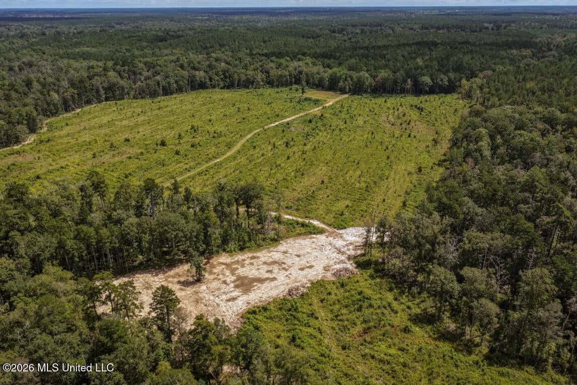900 Acres for Sale – Hunter’s Paradise South Mississippi