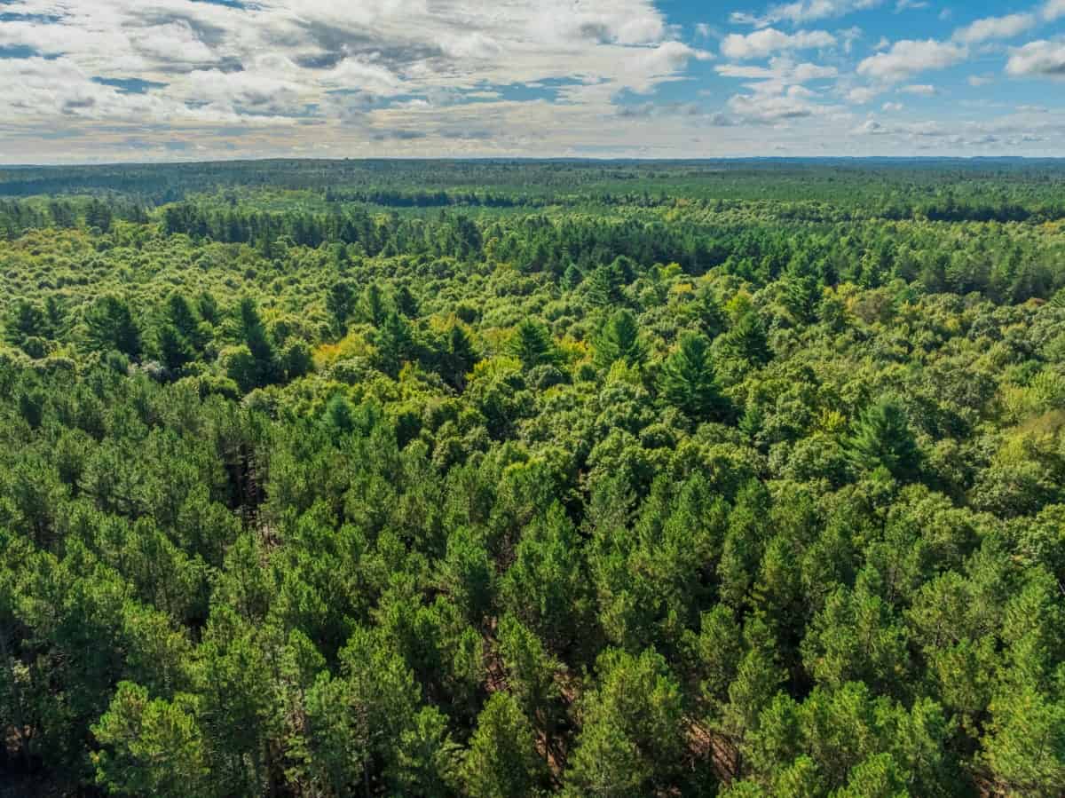 204.74± acres of premier recreational and hunting land in Eau Claire County