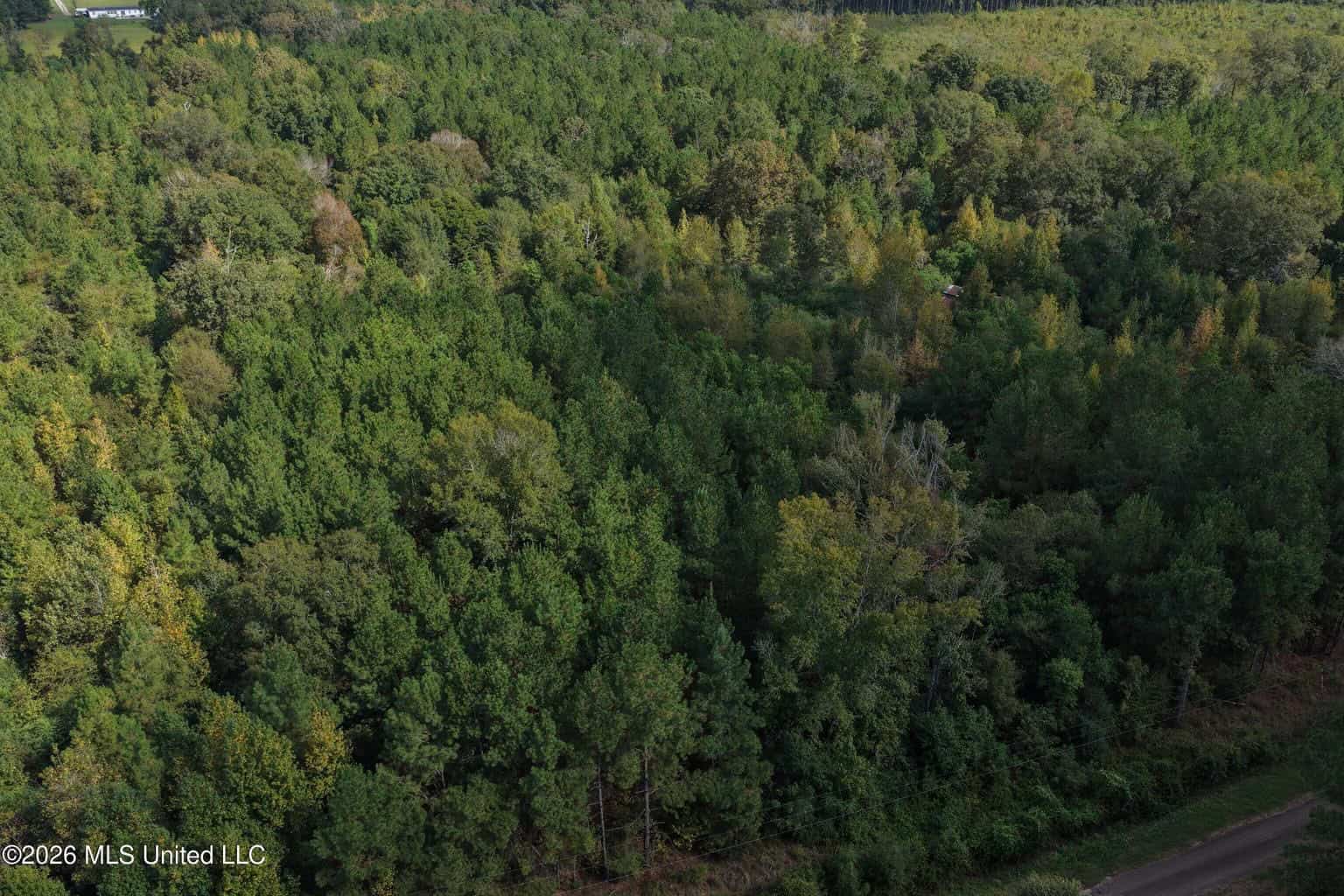 19.7+/- Acres of Wooded Land for Sale in Magnolia, MS