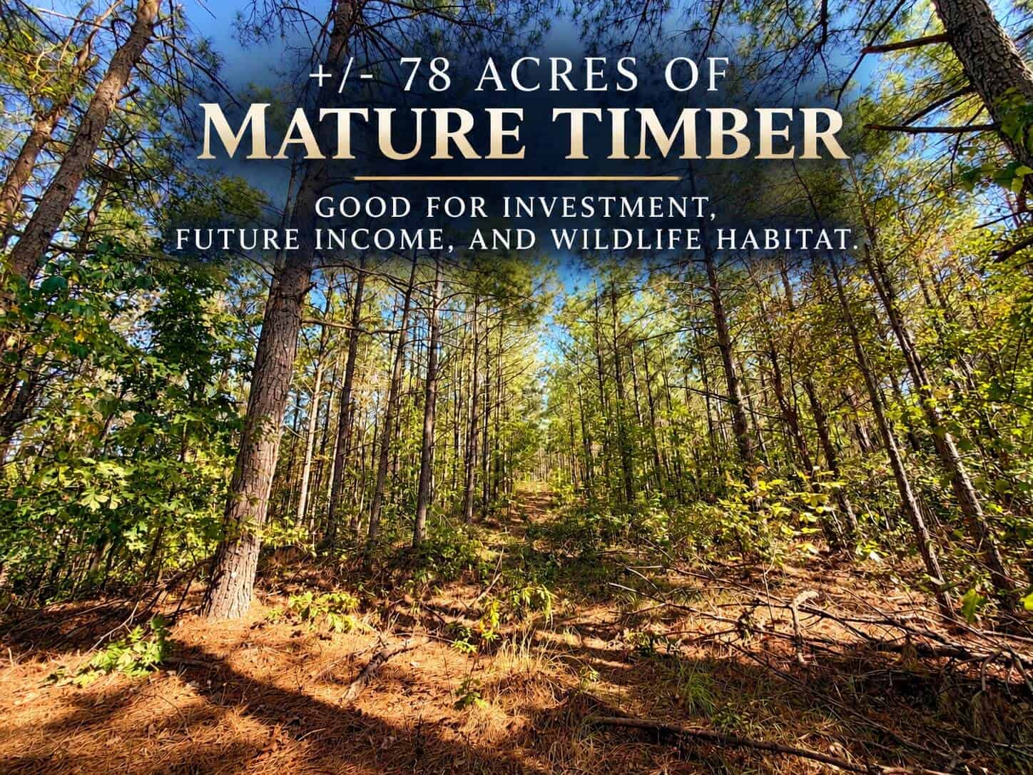 Farm, Breathtaking Home Site, INCREDIBLE Views, Tippah Co., MS