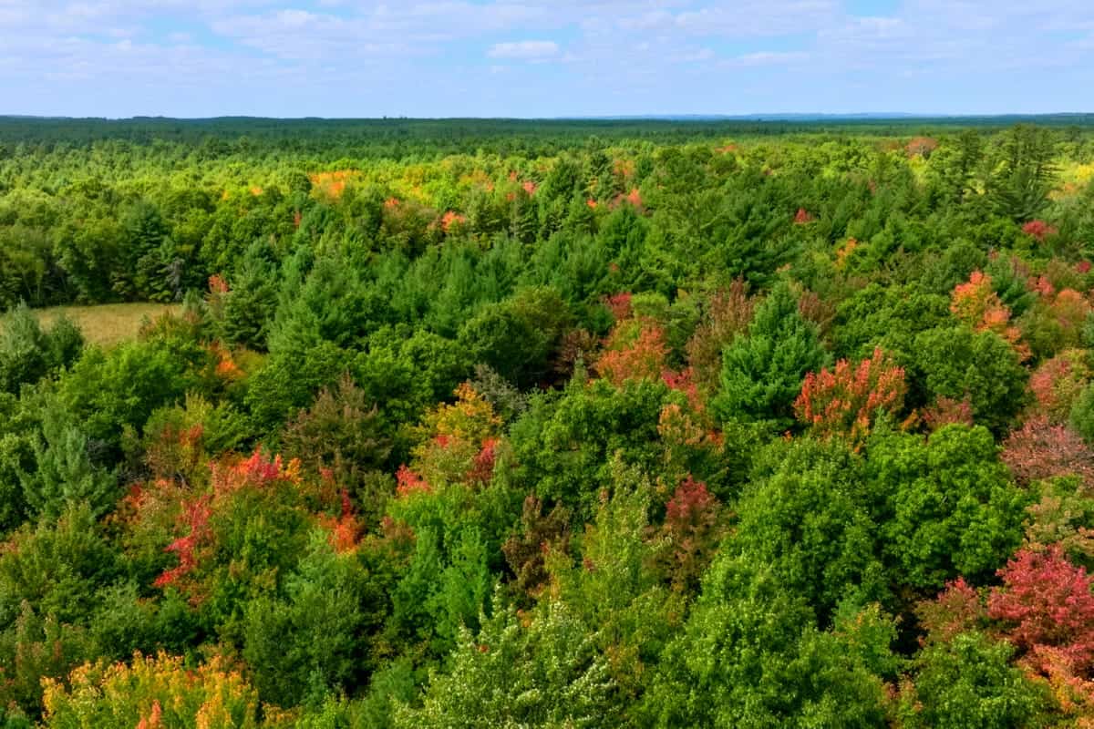 160+/- acres of Western Wisconsin hunting property Eau Claire Cty