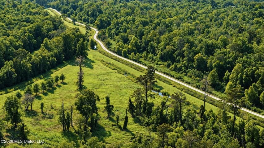 1979± Acre Hunting Plantation in White Castle, LA