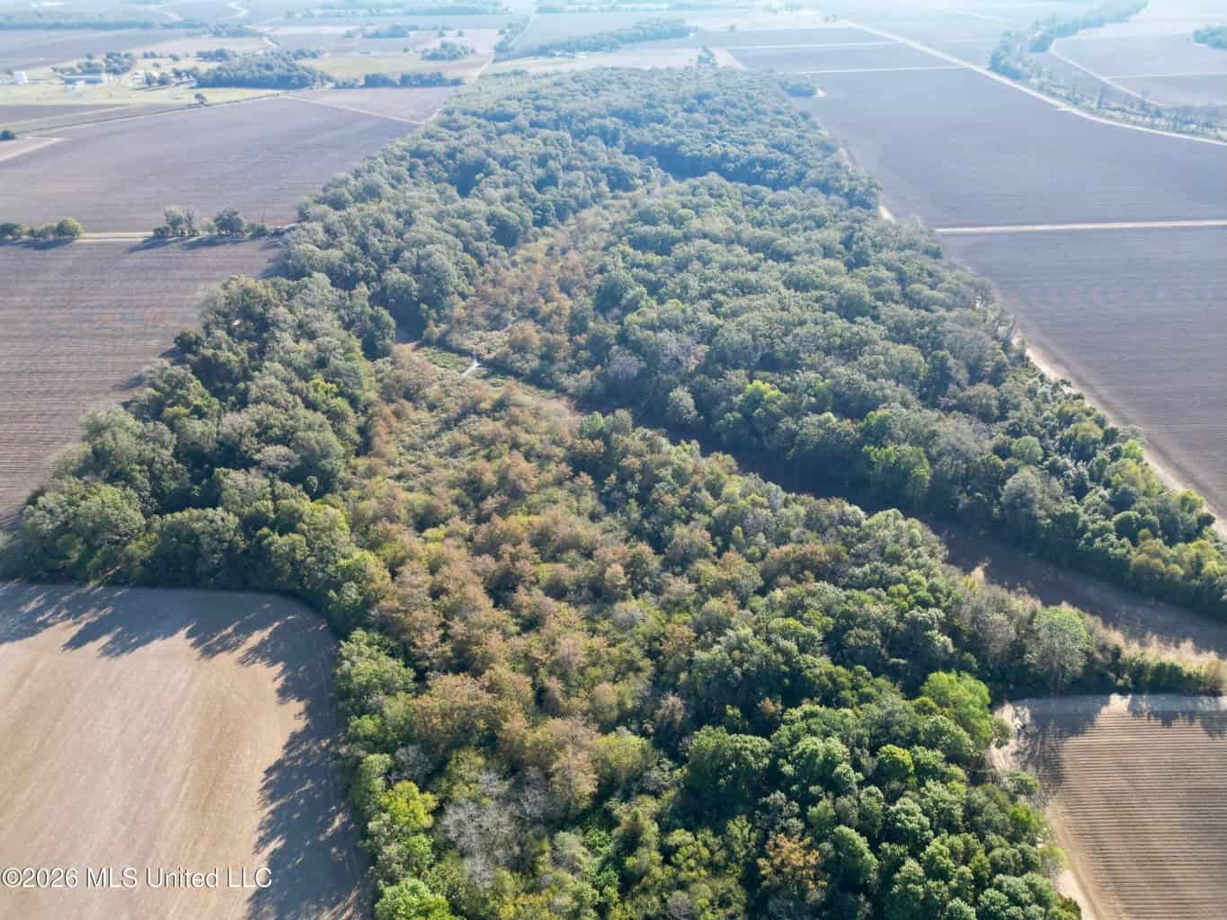 41.22 Acres MS Delta Duck Hunting