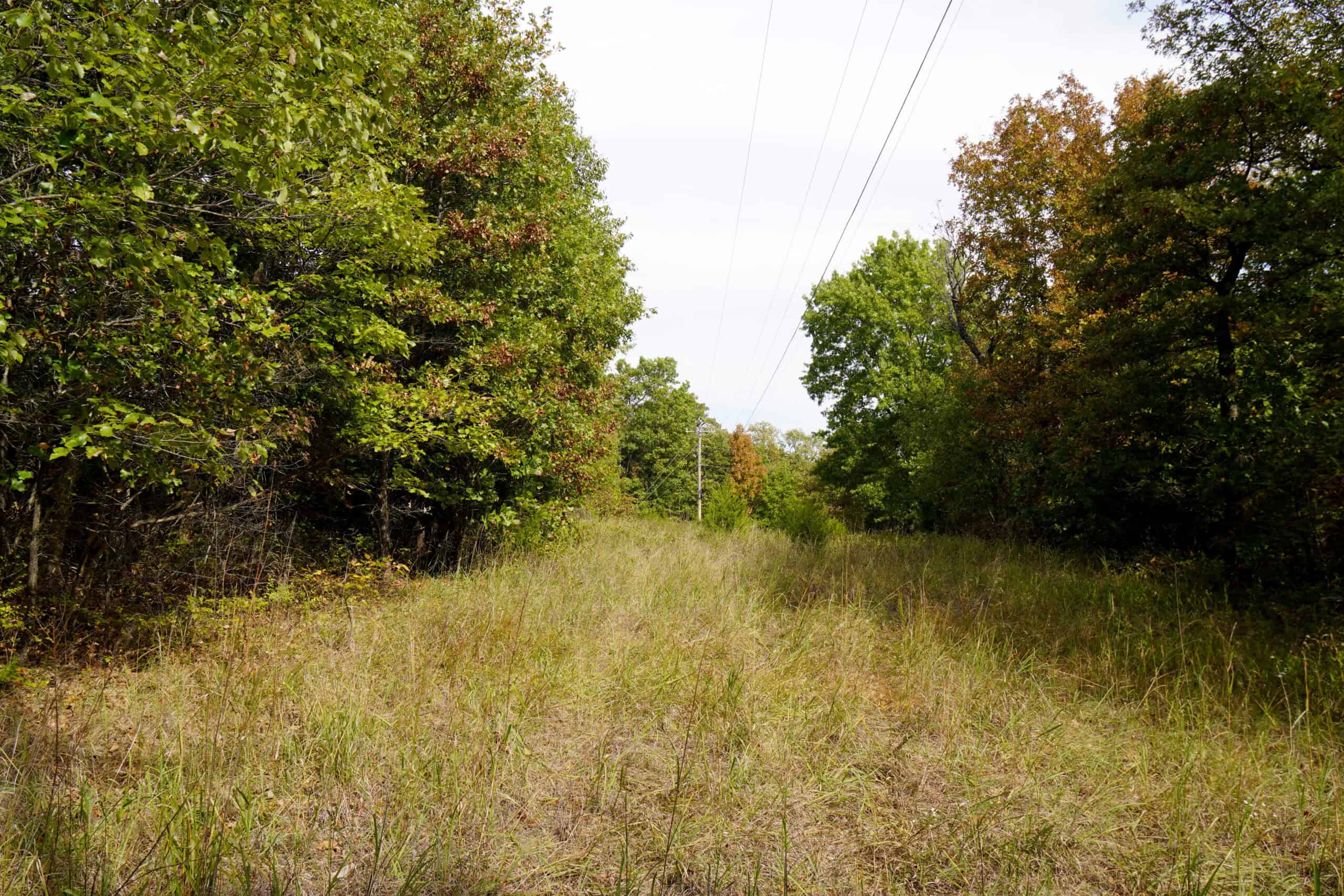 80 Acres +/- Hunting/Recreational Land For Sale Central Oklahoma