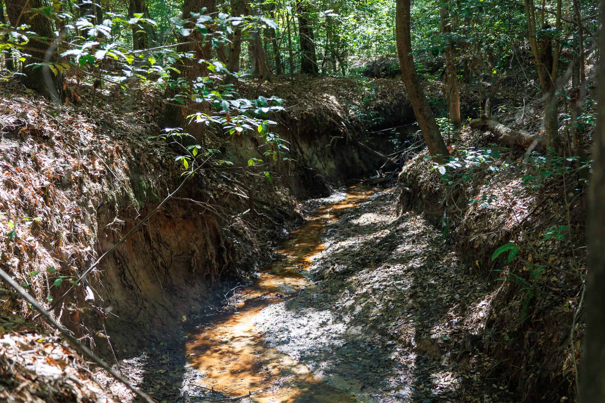 East Texas Recreational Land for Sale Gilmer TX Upshur County | Hunt & Timber
