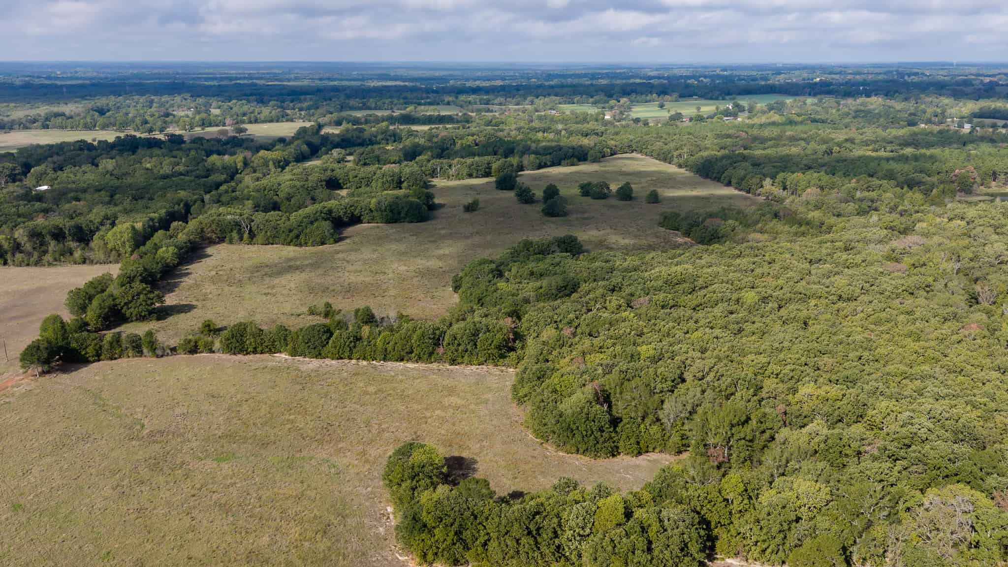 126-Acre Recreational Ranch for Sale in Mineola Texas Wood County