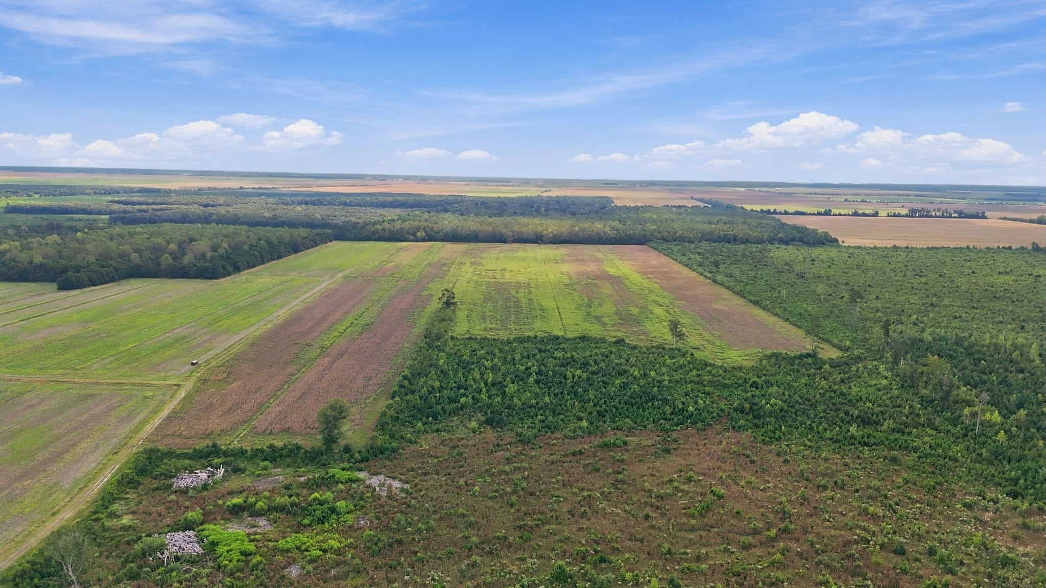 309-Acre Farm & Timberland for Sale in Beaufort County, NC