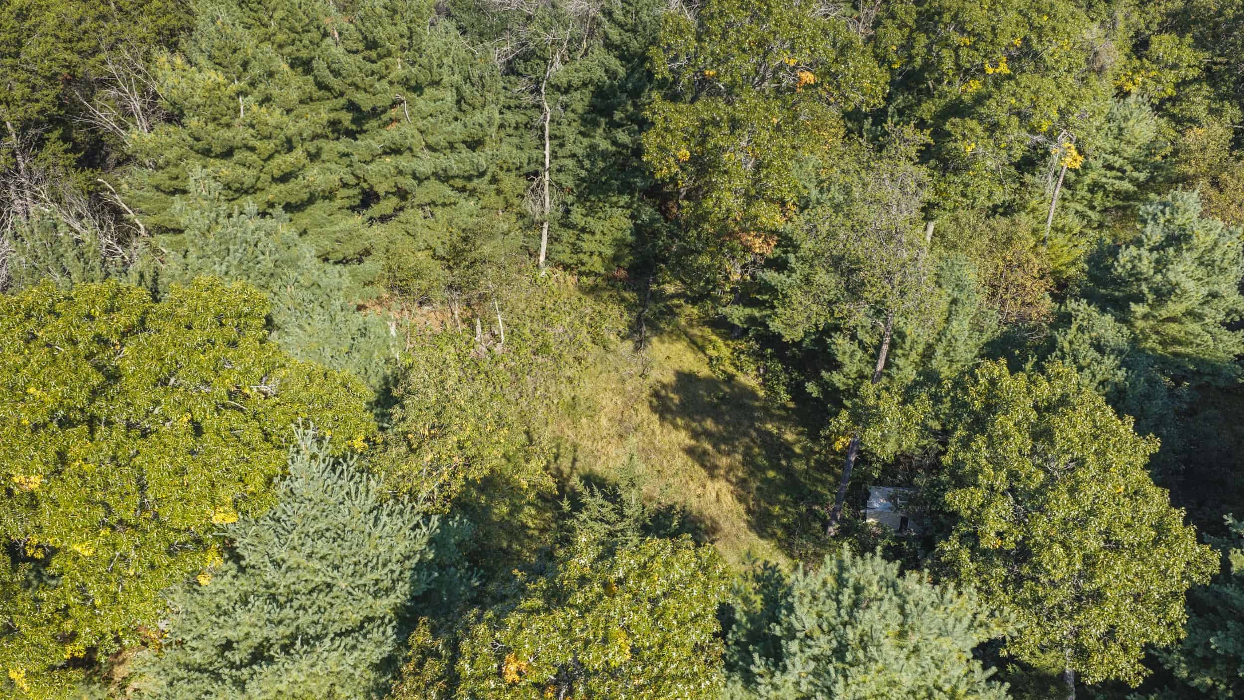 Buildable Hunting and Rec Property in Marquette County WI