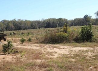 83.3 Surveyed Acres Fronts the Bogue Chitto River Lincoln County Brookhaven, Mississippi
