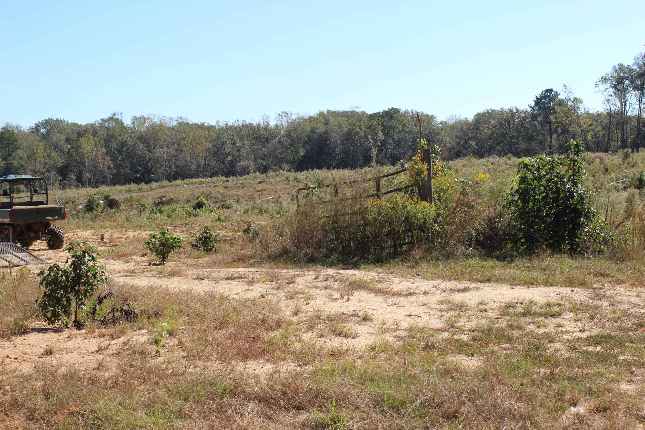 83.3 Surveyed Acres Fronts the Bogue Chitto River Lincoln County Brookhaven, Mississippi
