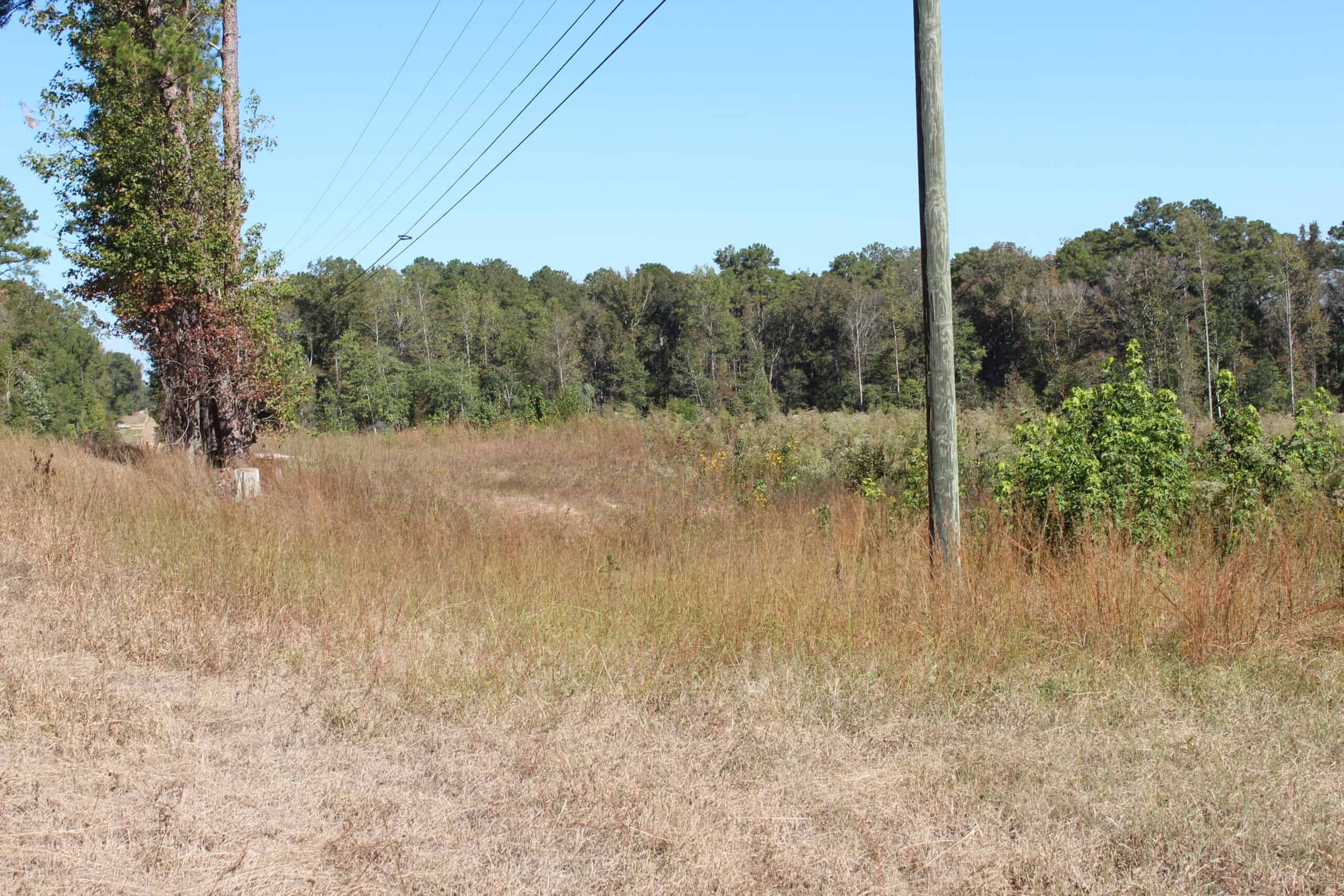 83.3 Surveyed Acres Fronts the Bogue Chitto River Lincoln County Brookhaven, Mississippi