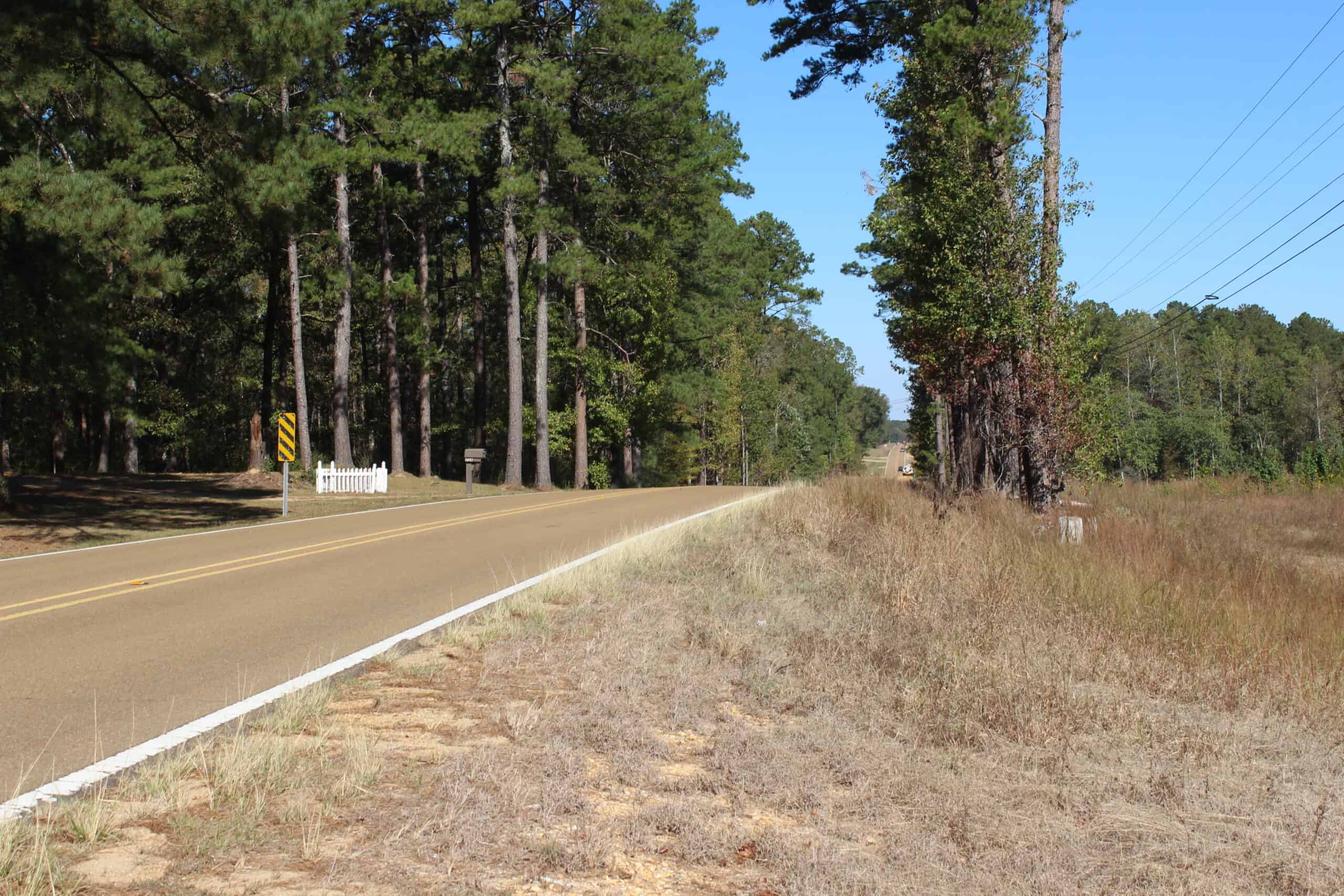 83.3 Surveyed Acres Fronts the Bogue Chitto River Lincoln County Brookhaven, Mississippi