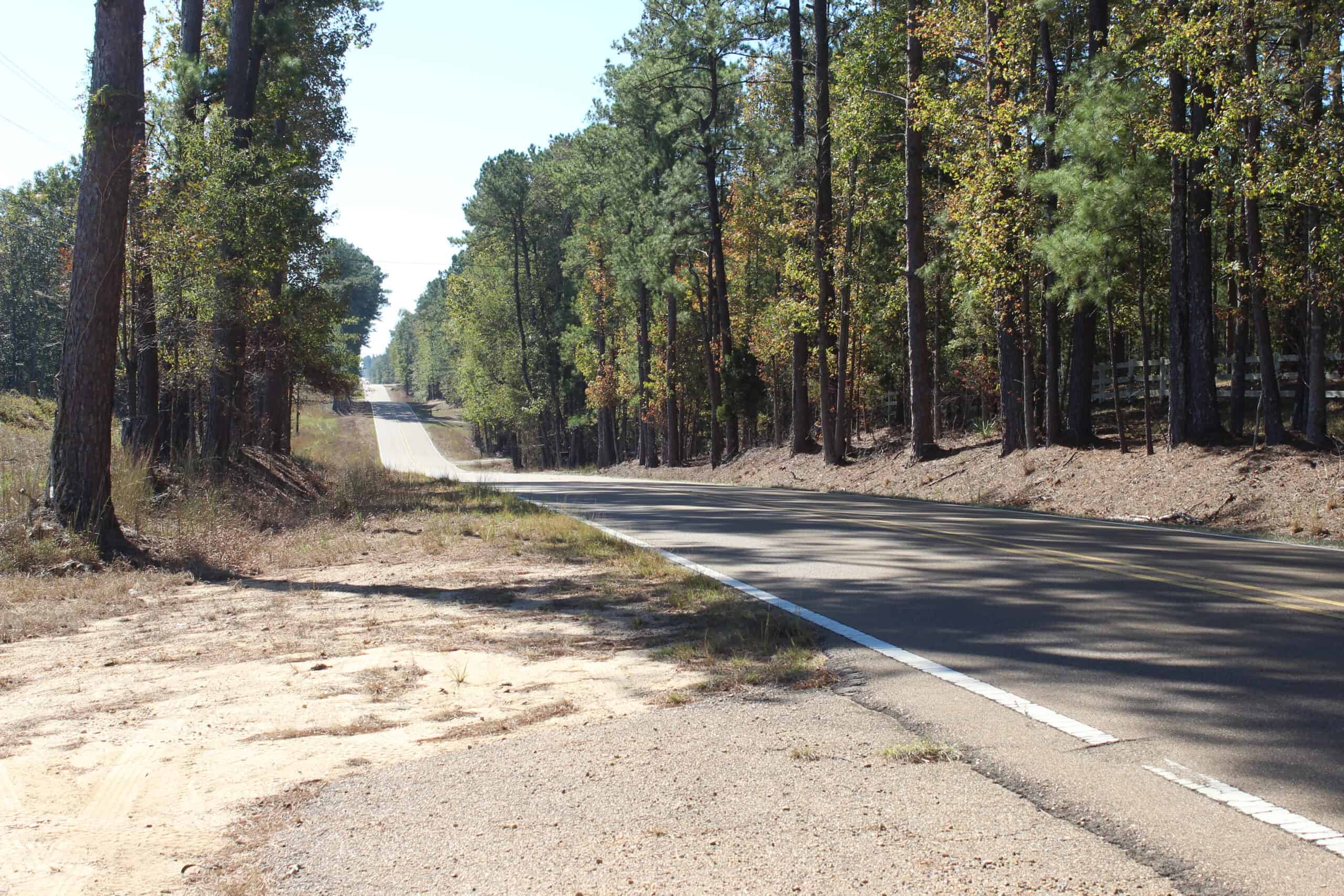 83.3 Surveyed Acres Fronts the Bogue Chitto River Lincoln County Brookhaven, Mississippi