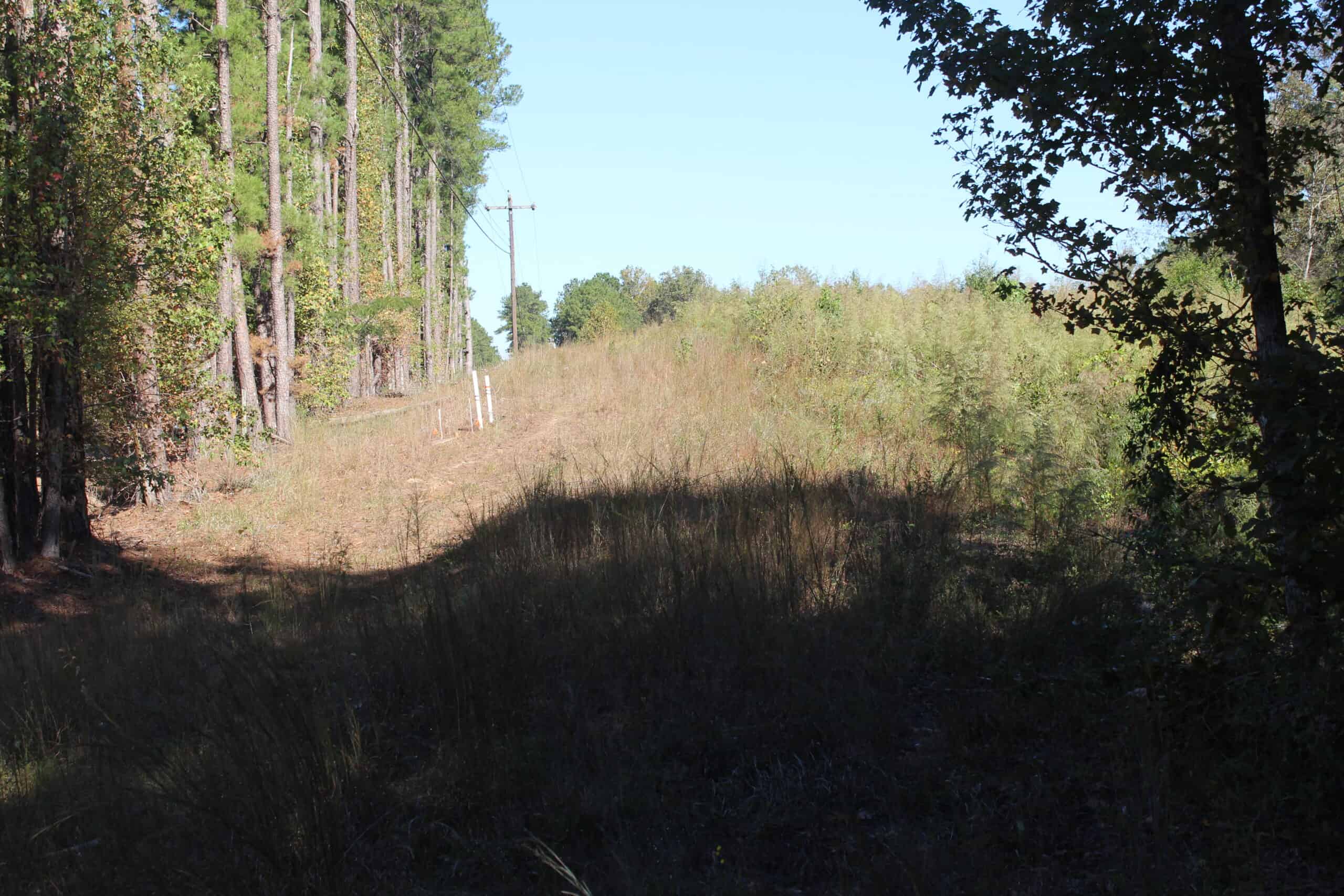 83.3 Surveyed Acres Fronts the Bogue Chitto River Lincoln County Brookhaven, Mississippi