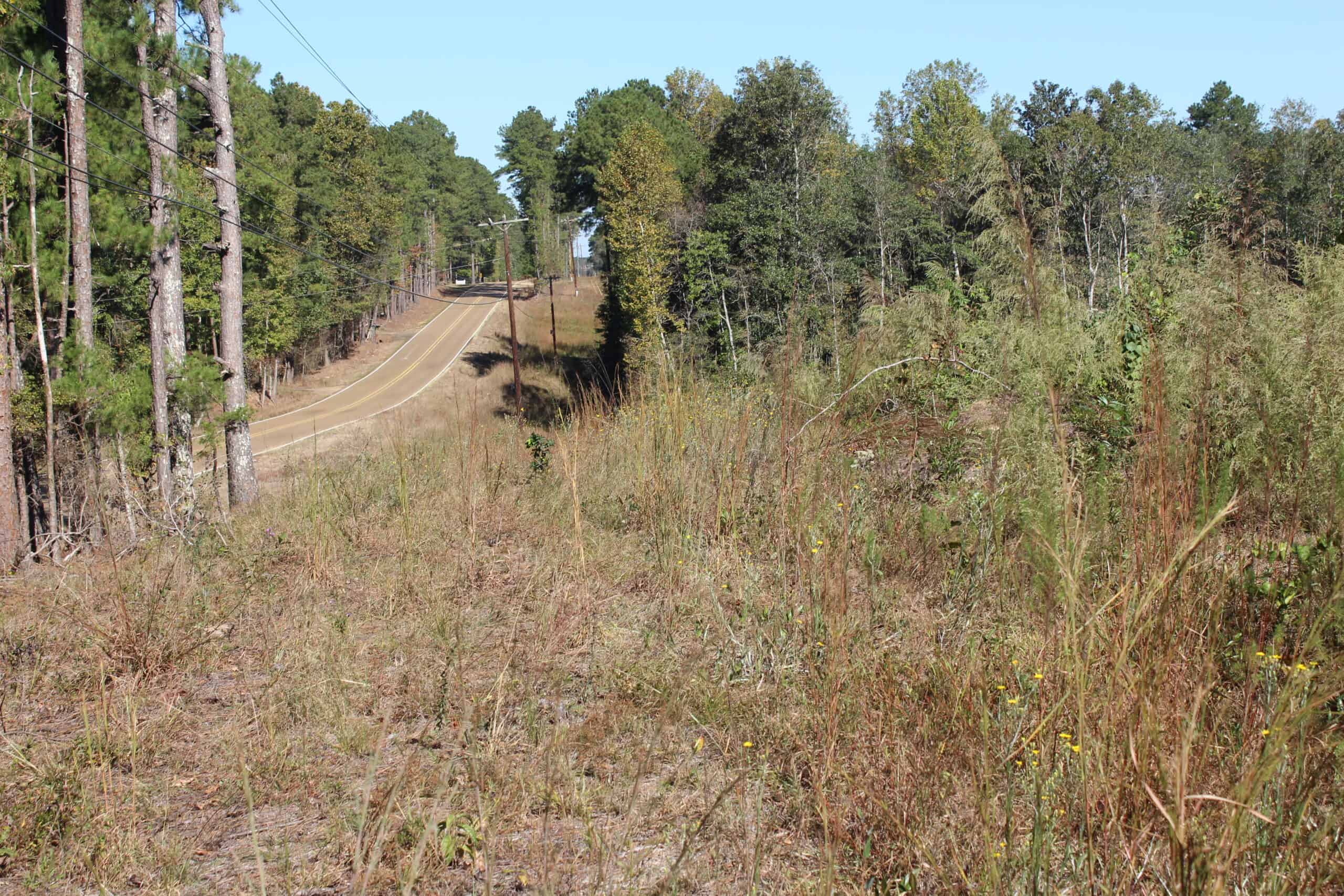 83.3 Surveyed Acres Fronts the Bogue Chitto River Lincoln County Brookhaven, Mississippi
