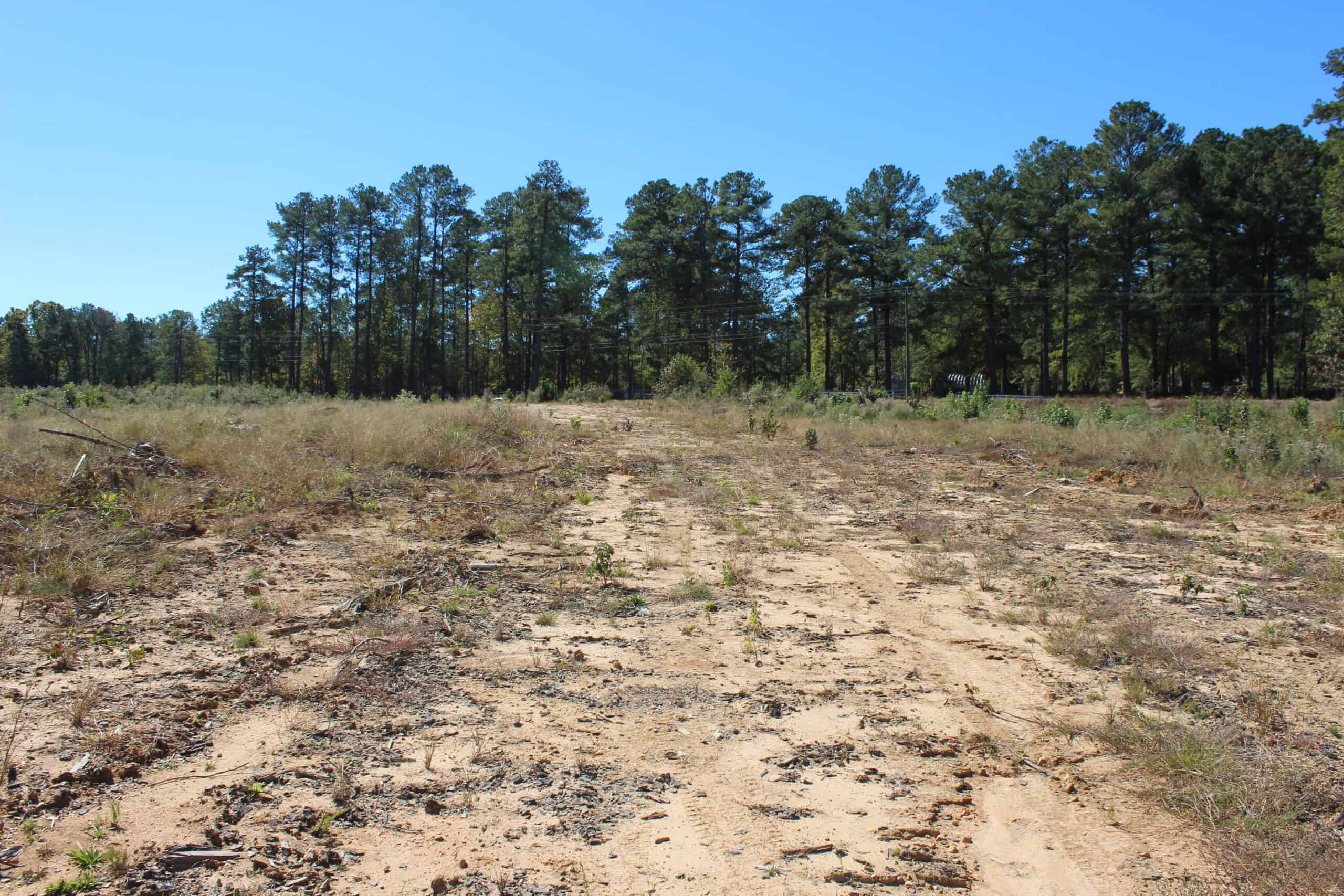 83.3 Surveyed Acres Fronts the Bogue Chitto River Lincoln County Brookhaven, Mississippi
