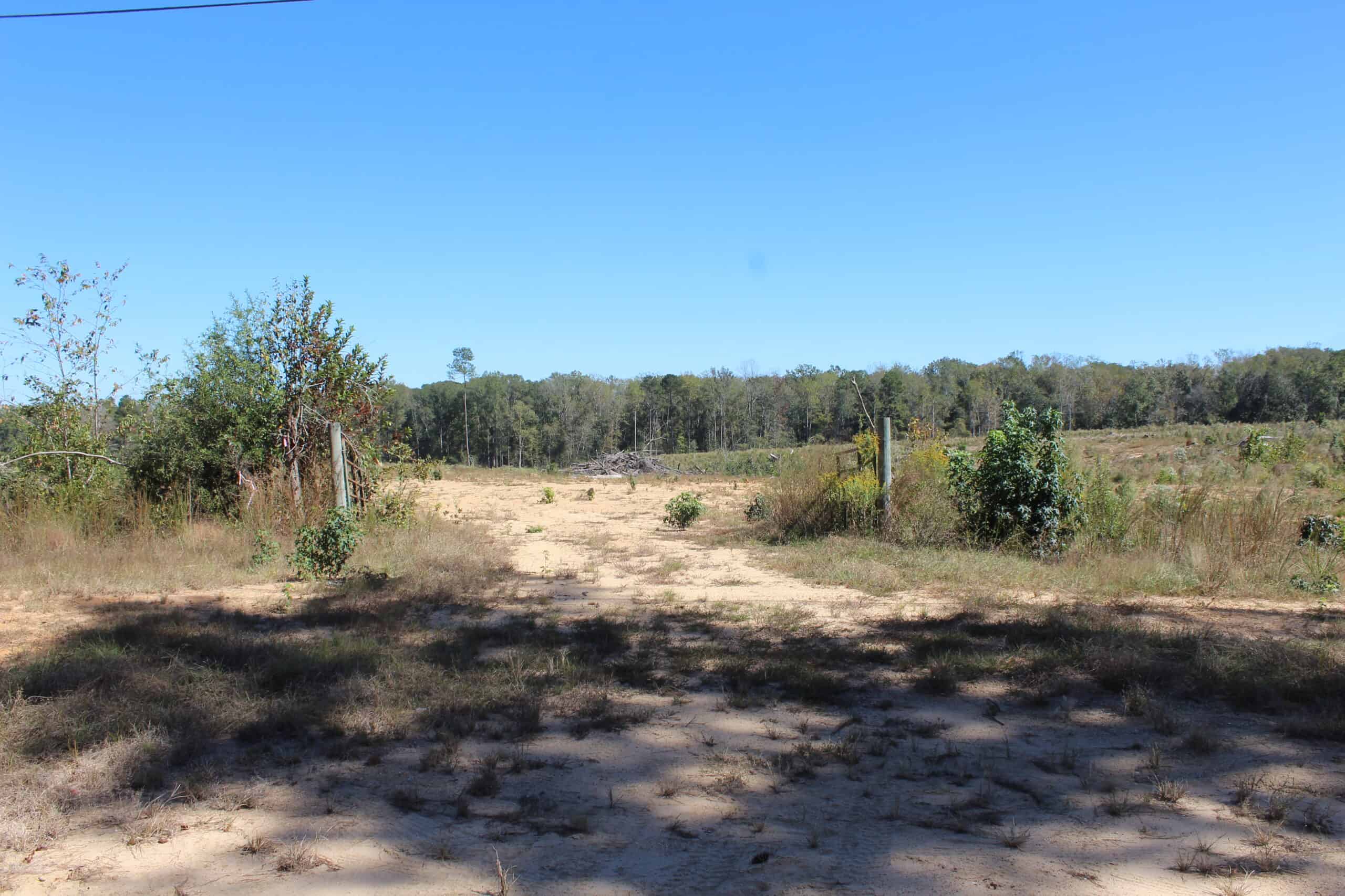 83.3 Surveyed Acres Fronts the Bogue Chitto River Lincoln County Brookhaven, Mississippi