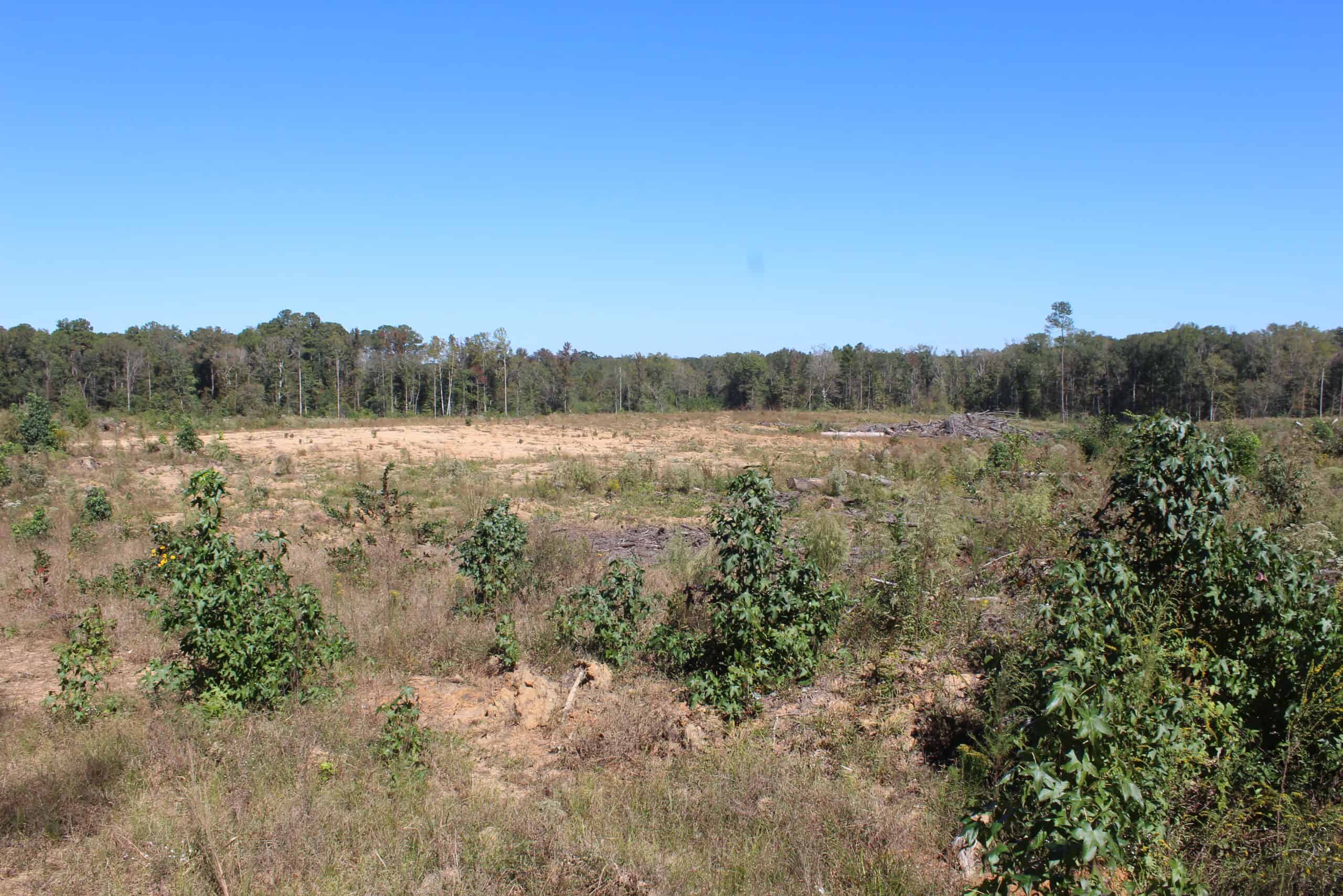 83.3 Surveyed Acres Fronts the Bogue Chitto River Lincoln County Brookhaven, Mississippi