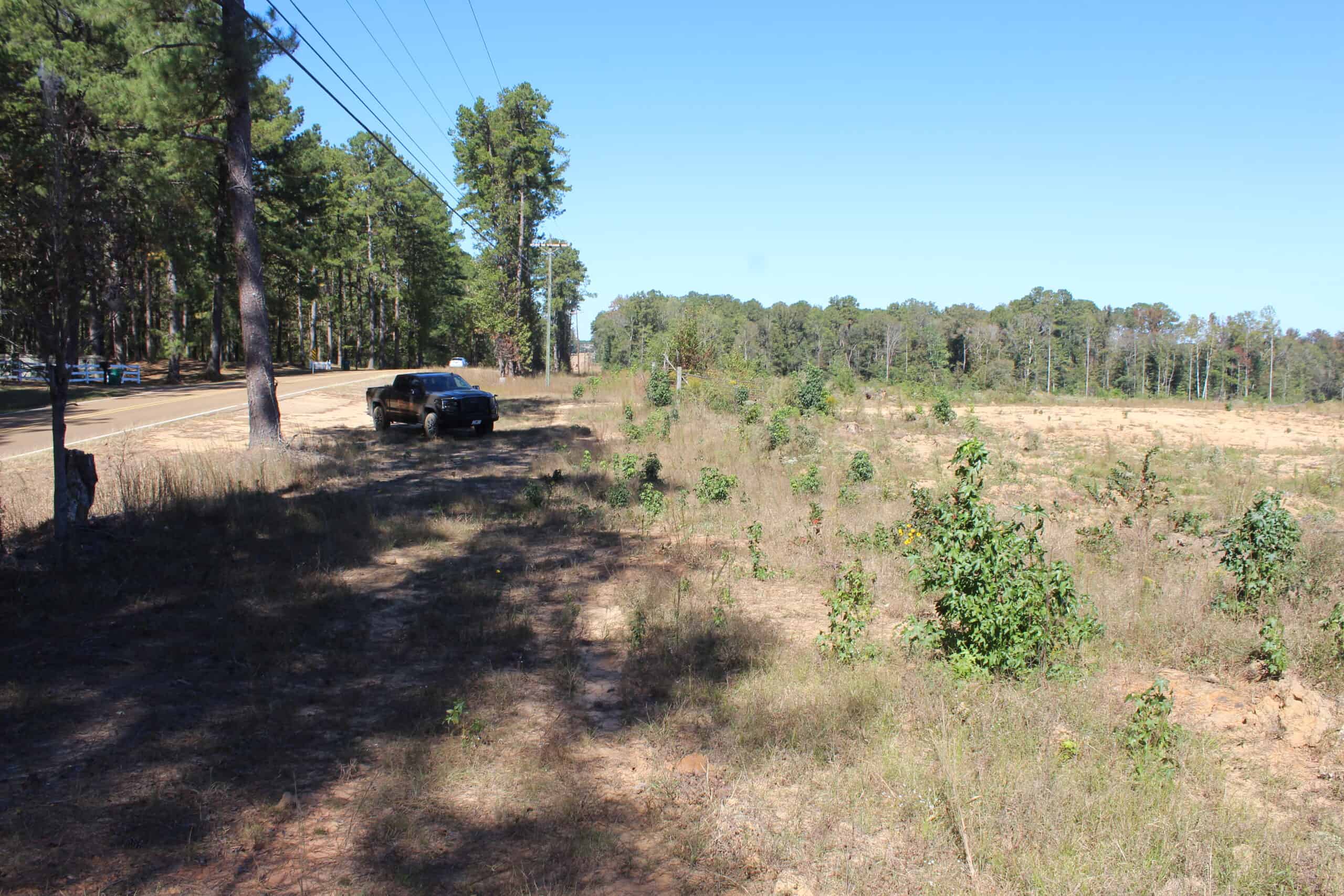 83.3 Surveyed Acres Fronts the Bogue Chitto River Lincoln County Brookhaven, Mississippi