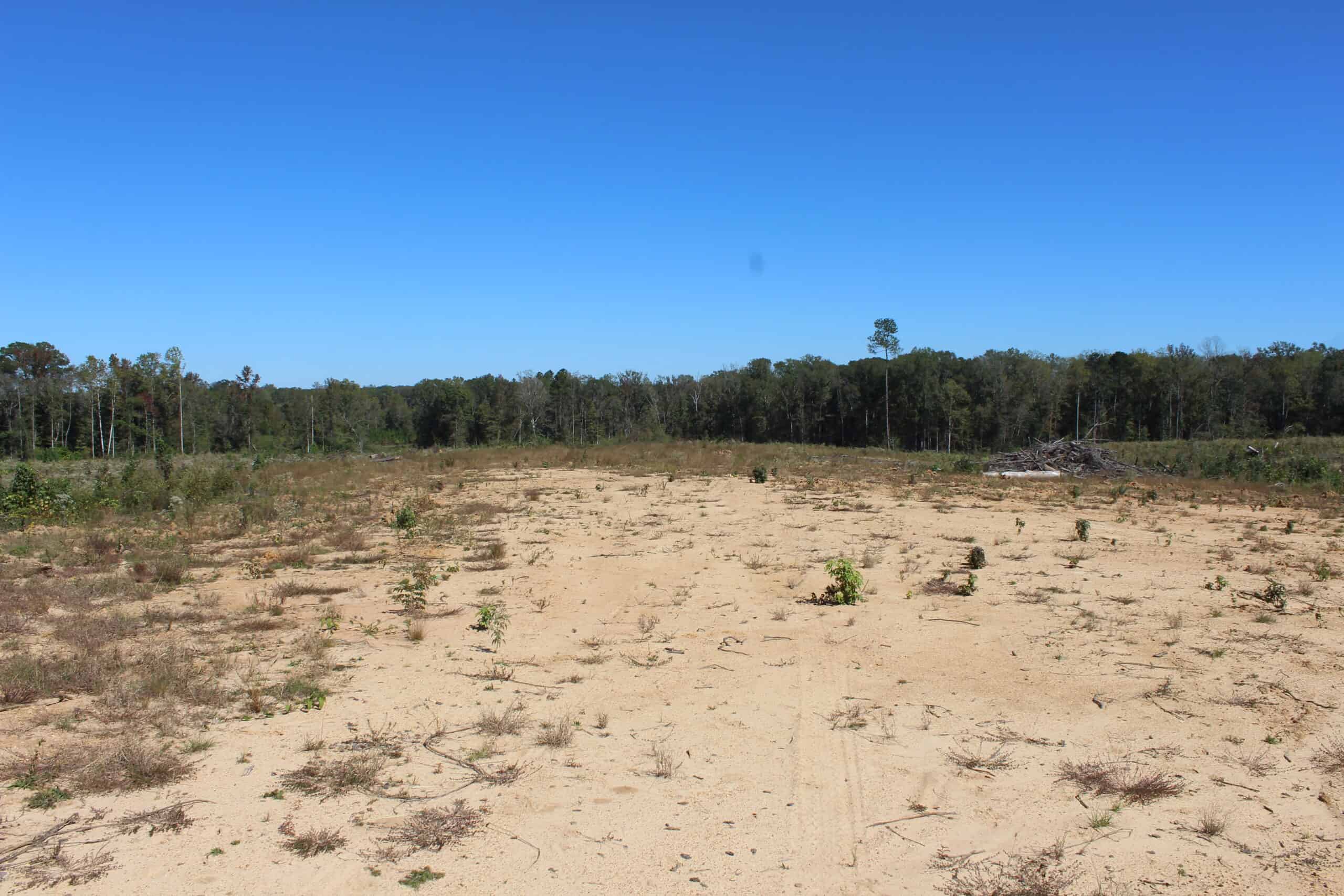 83.3 Surveyed Acres Fronts the Bogue Chitto River Lincoln County Brookhaven, Mississippi