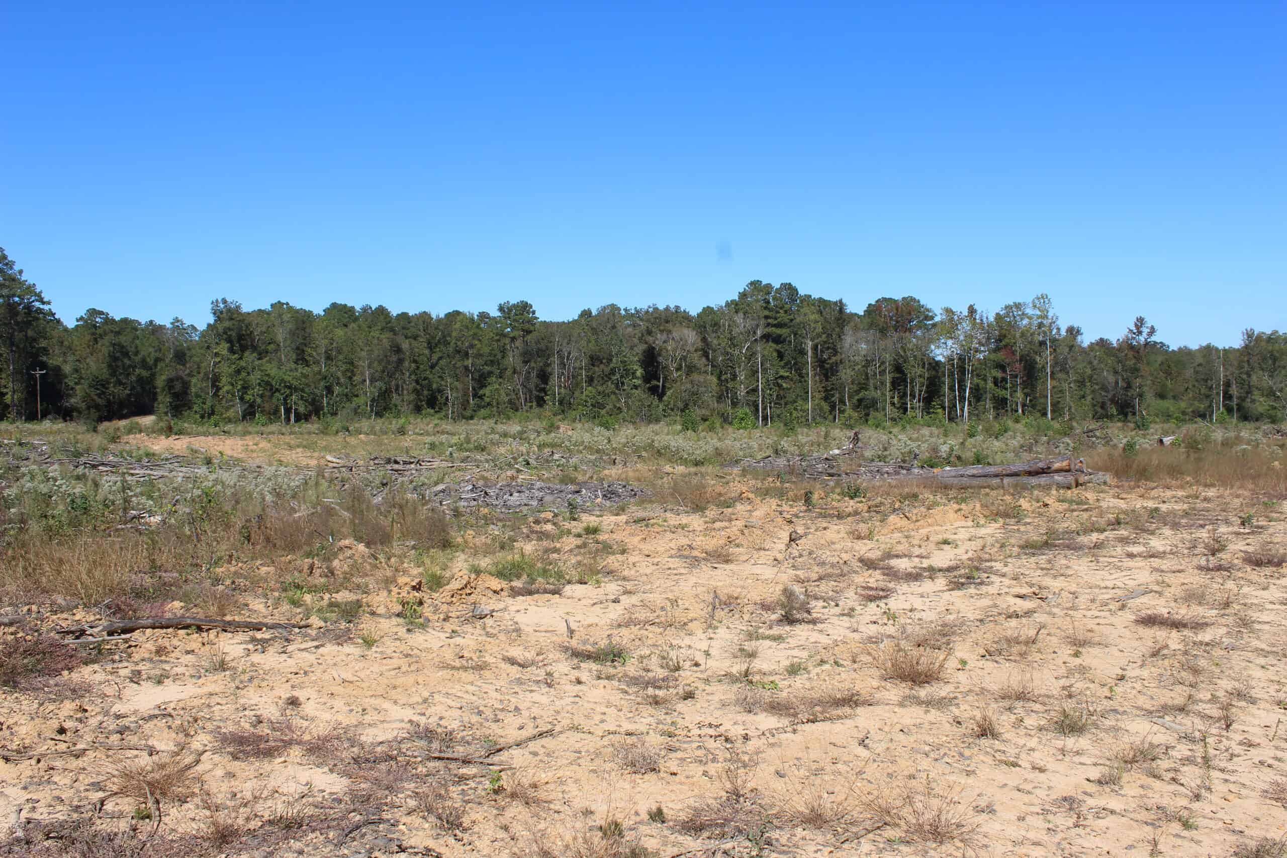 83.3 Surveyed Acres Fronts the Bogue Chitto River Lincoln County Brookhaven, Mississippi