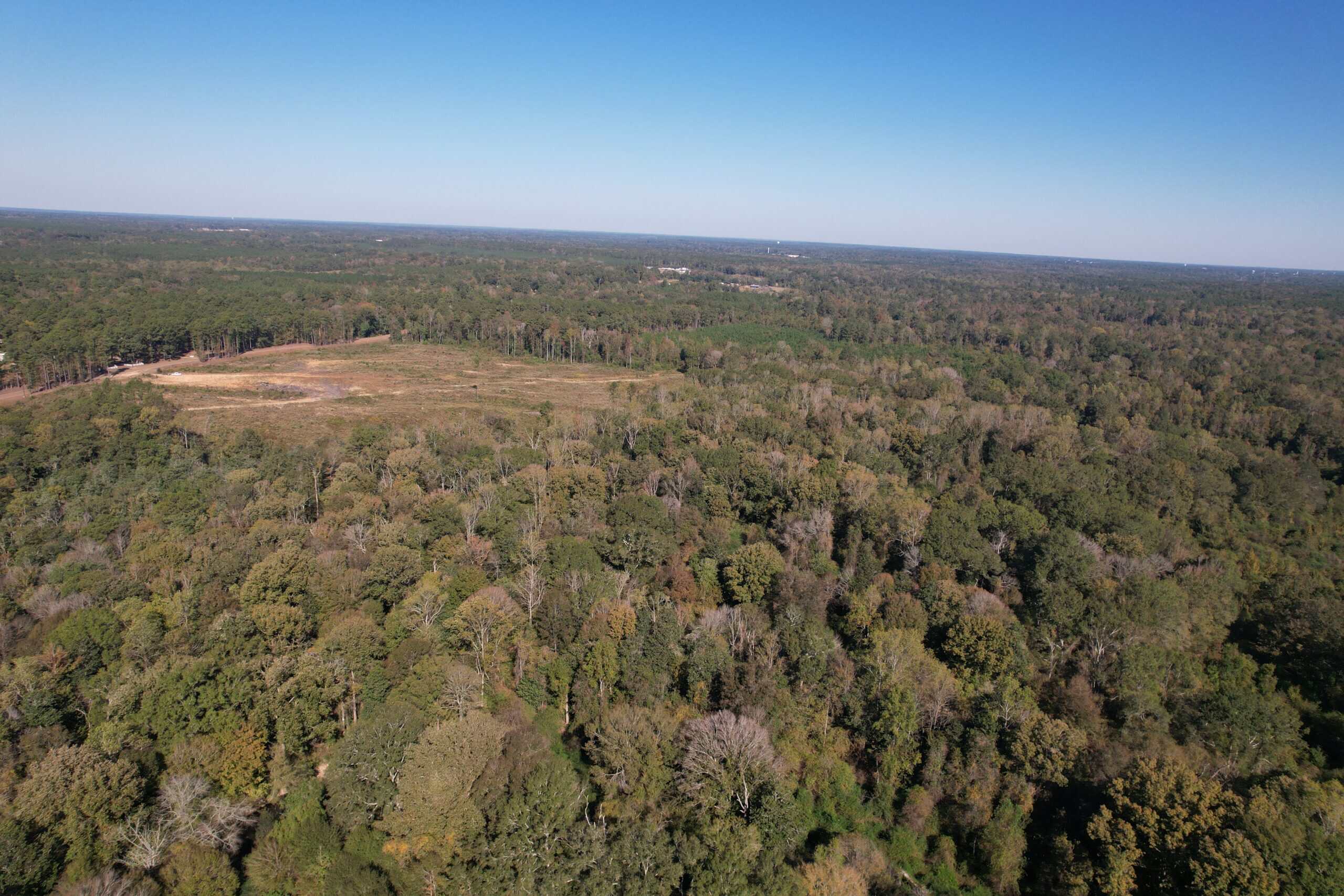 83.3 Surveyed Acres Fronts the Bogue Chitto River Lincoln County Brookhaven, Mississippi