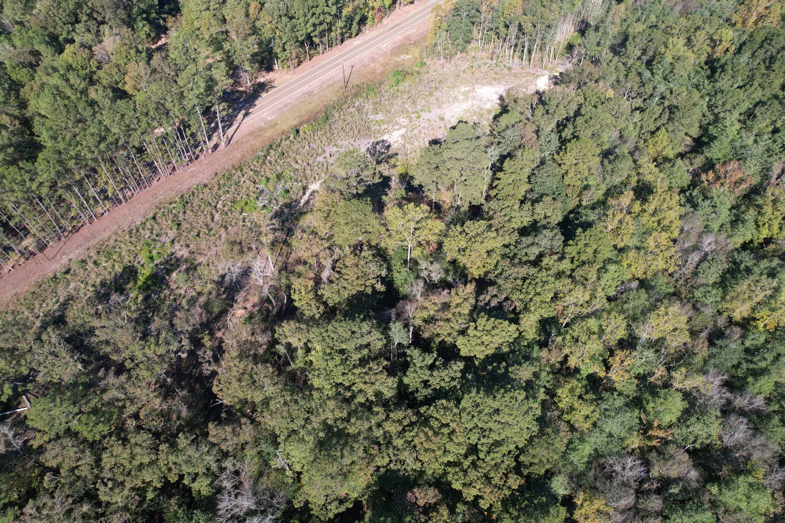 83.3 Surveyed Acres Fronts the Bogue Chitto River Lincoln County Brookhaven, Mississippi