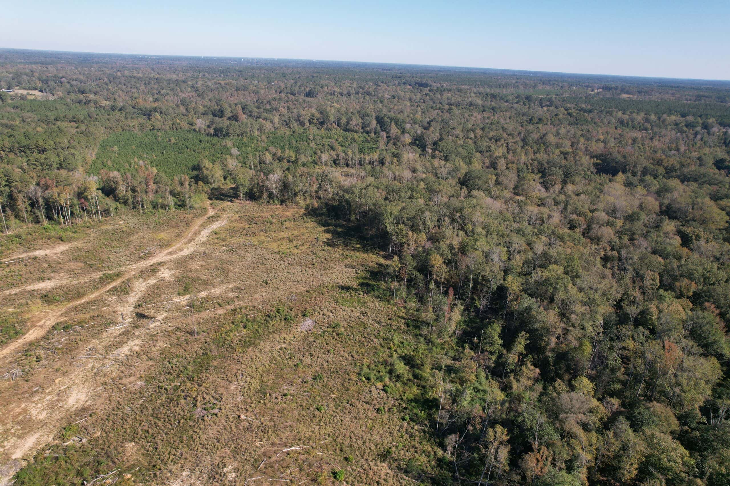 83.3 Surveyed Acres Fronts the Bogue Chitto River Lincoln County Brookhaven, Mississippi