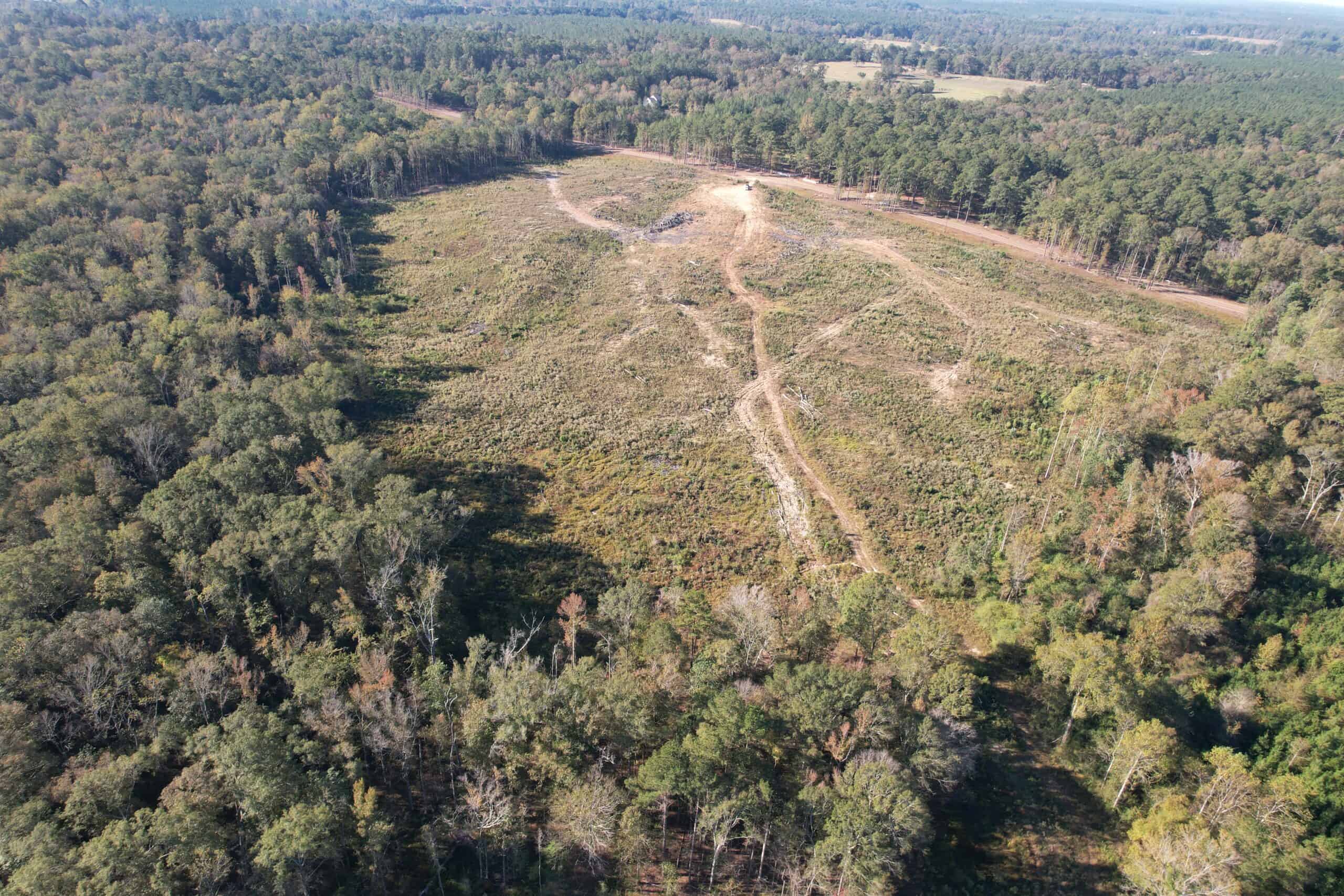 83.3 Surveyed Acres Fronts the Bogue Chitto River Lincoln County Brookhaven, Mississippi