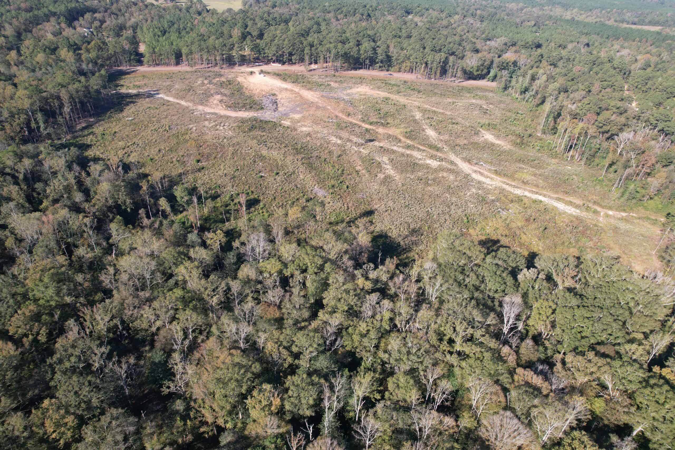 83.3 Surveyed Acres Fronts the Bogue Chitto River Lincoln County Brookhaven, Mississippi