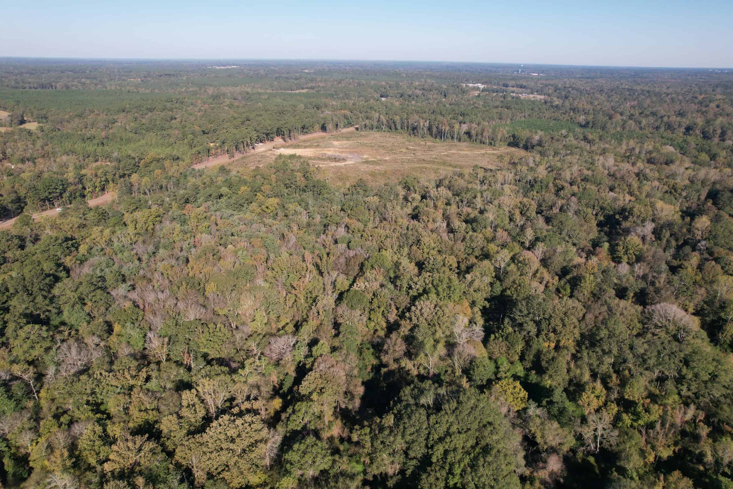 83.3 Surveyed Acres Fronts the Bogue Chitto River Lincoln County Brookhaven, Mississippi