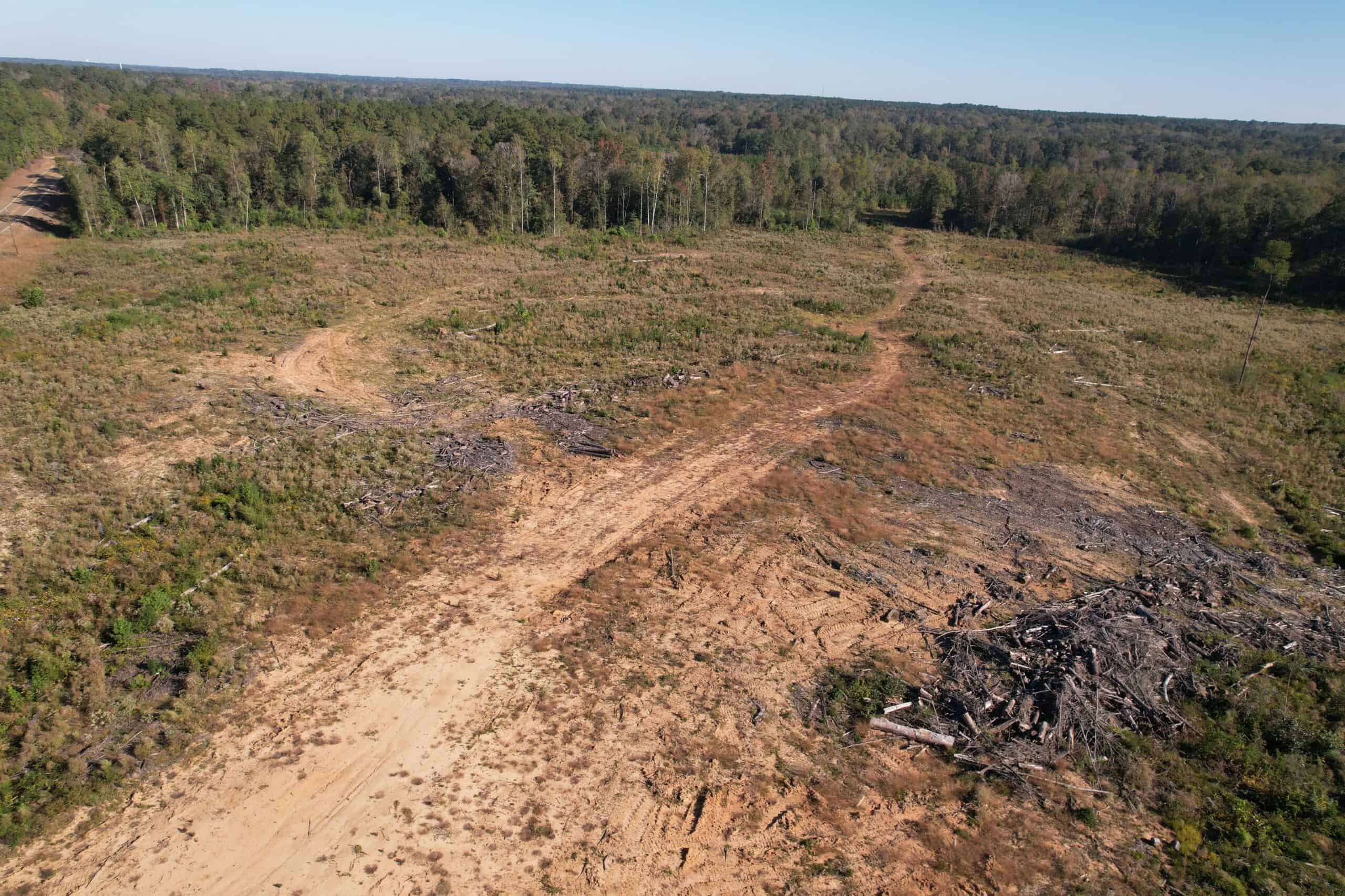 83.3 Surveyed Acres Fronts the Bogue Chitto River Lincoln County Brookhaven, Mississippi