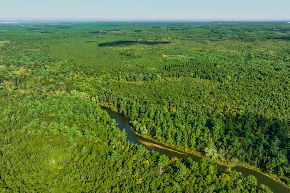 204.74± acres of premier recreational and hunting land in Eau Claire County