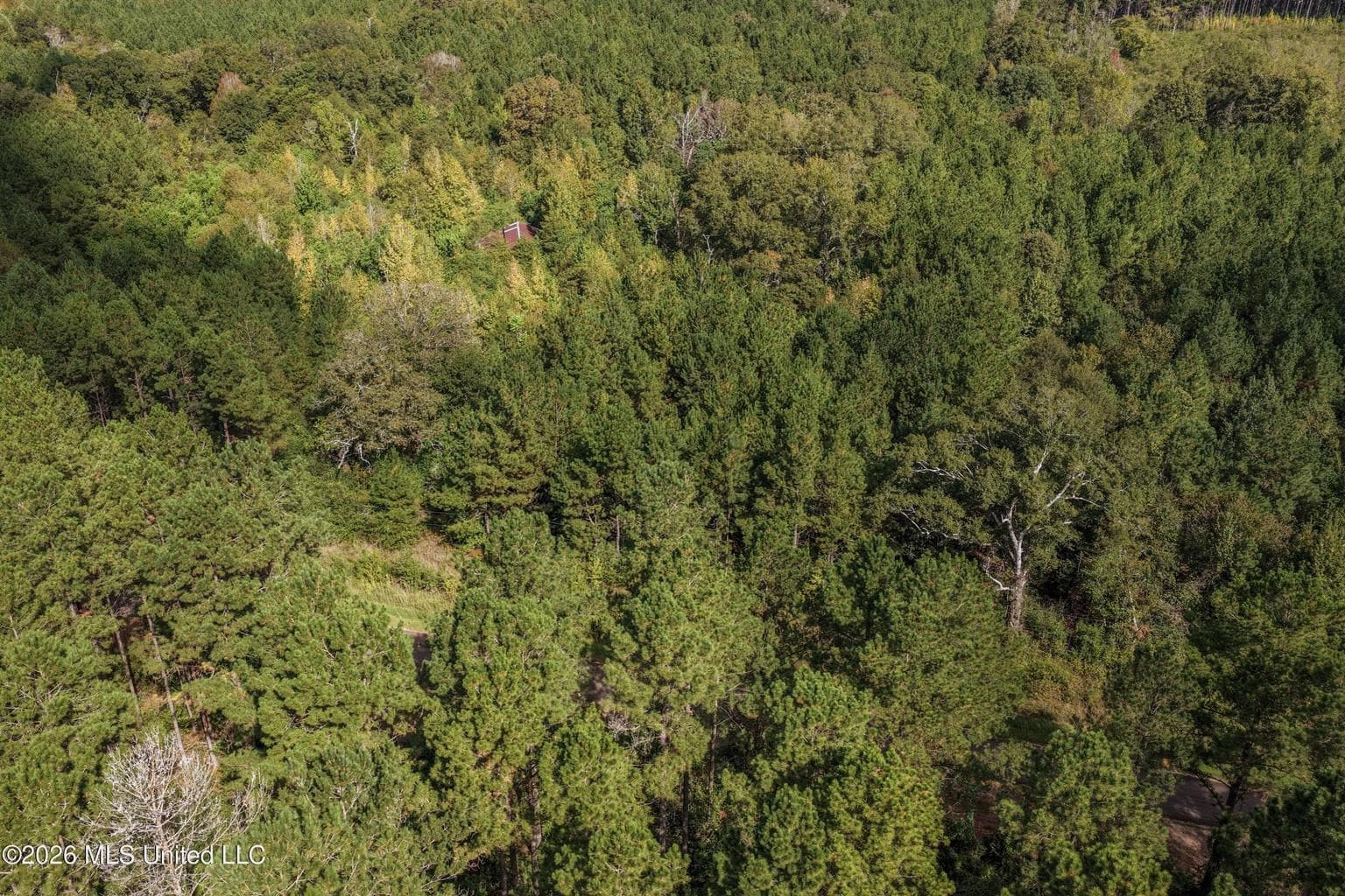 19.7+/- Acres of Wooded Land for Sale in Magnolia, MS