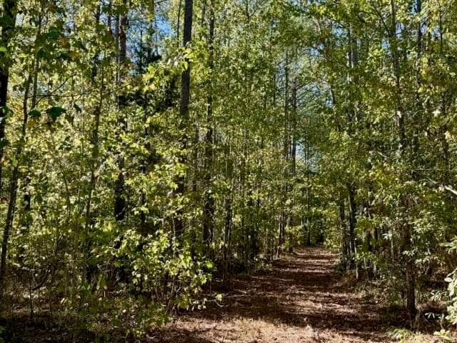 63 Acres Land For Sale Near Starkville MS