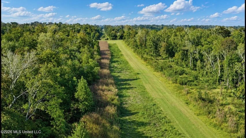 1979± Acre Hunting Plantation in White Castle, LA