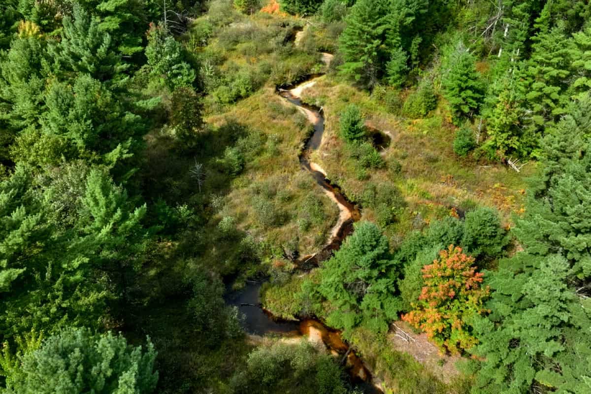 160+/- acres of Western Wisconsin hunting property Eau Claire Cty