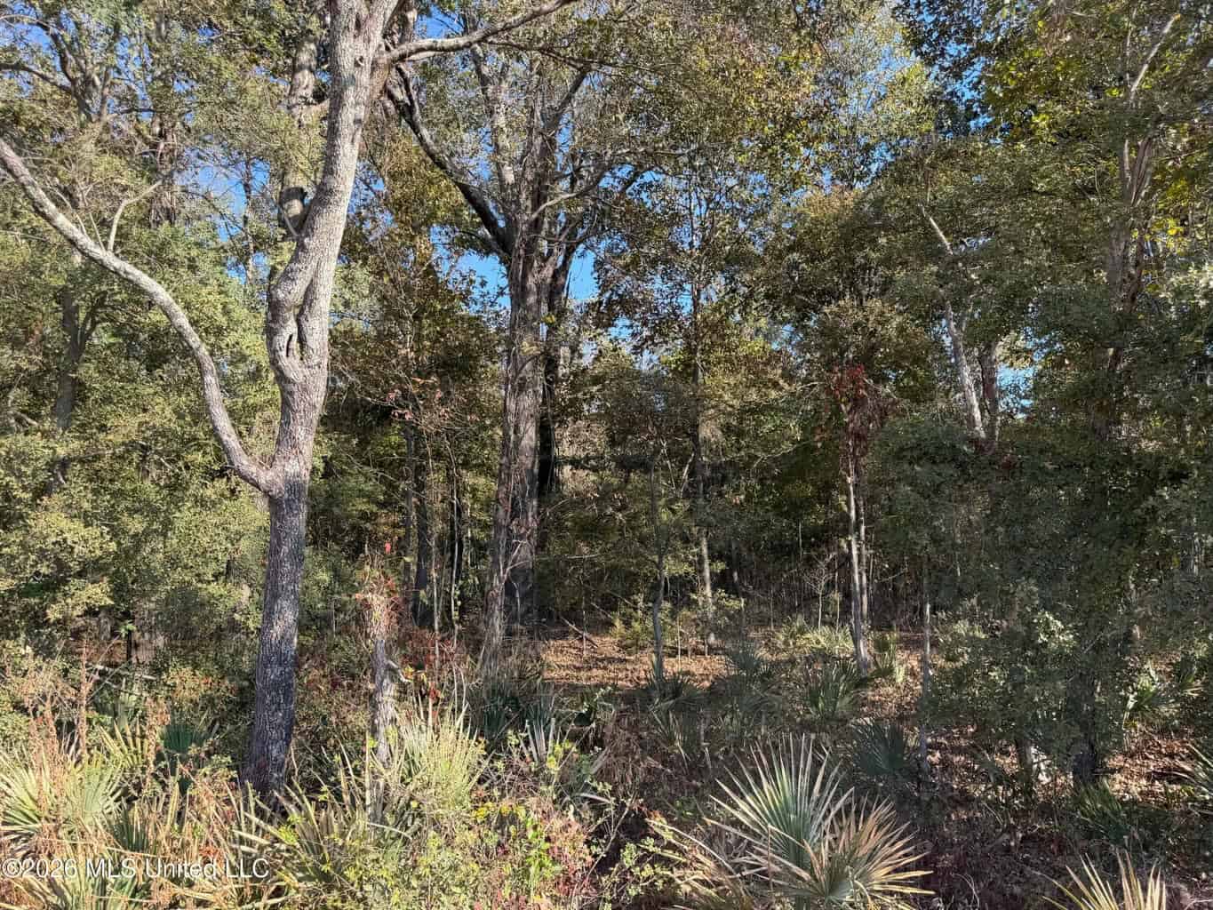 41.22 Acres MS Delta Duck Hunting