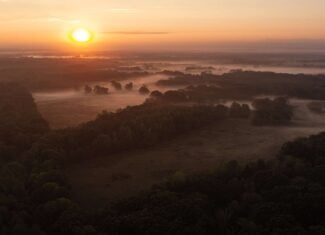 126-Acre Recreational Ranch for Sale in Mineola Texas Wood County