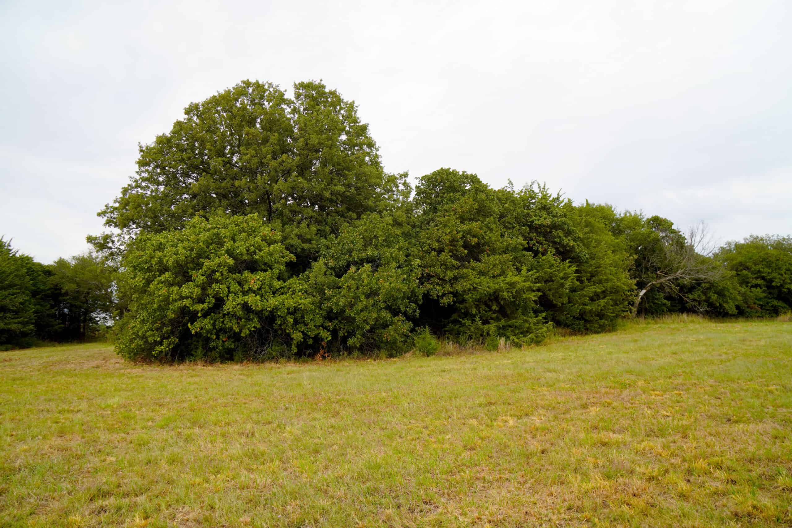 Prime Oklahoma Land With Highway Frontage & Shop For Sale