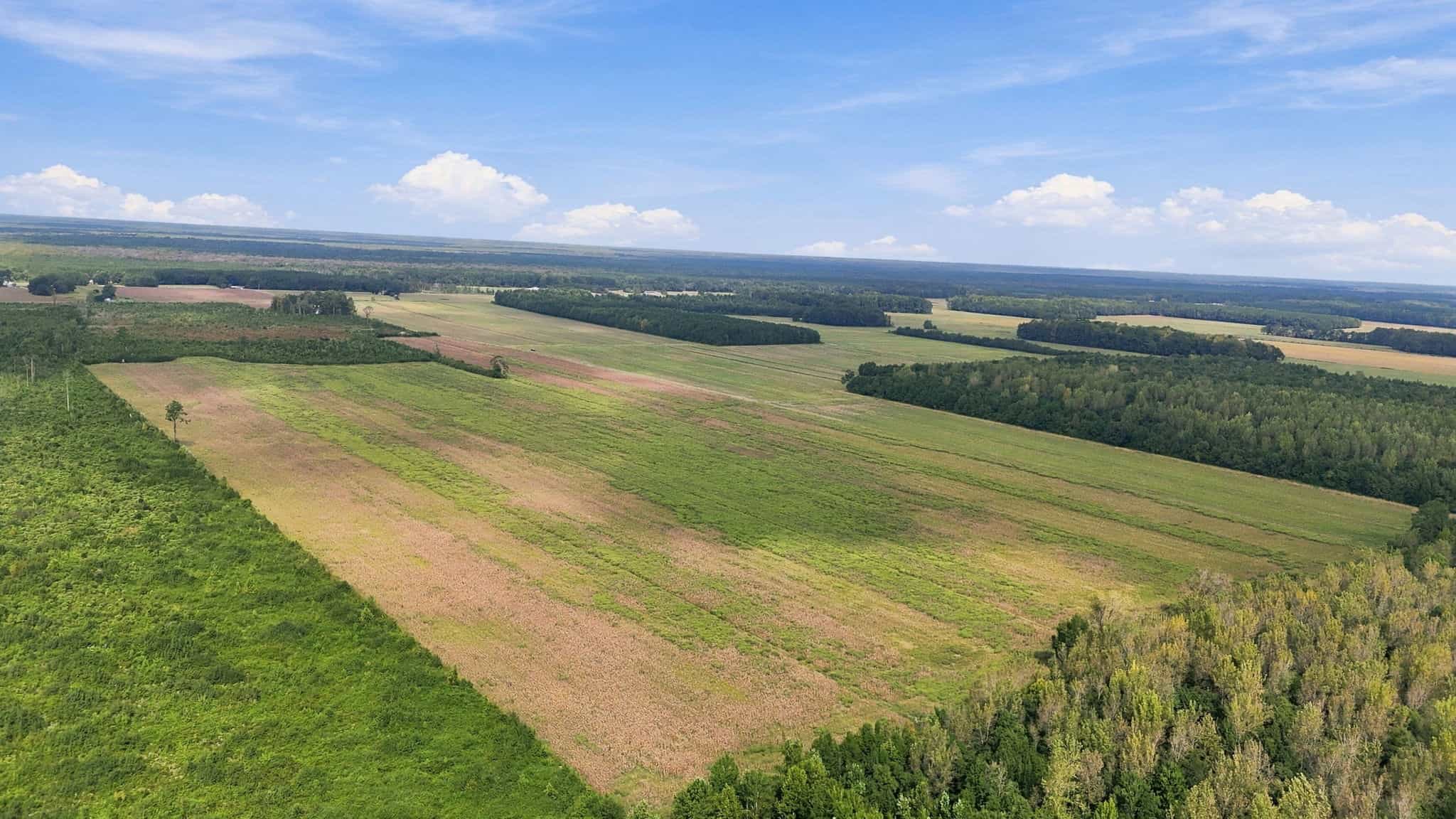 309-Acre Farm & Timberland for Sale in Beaufort County, NC