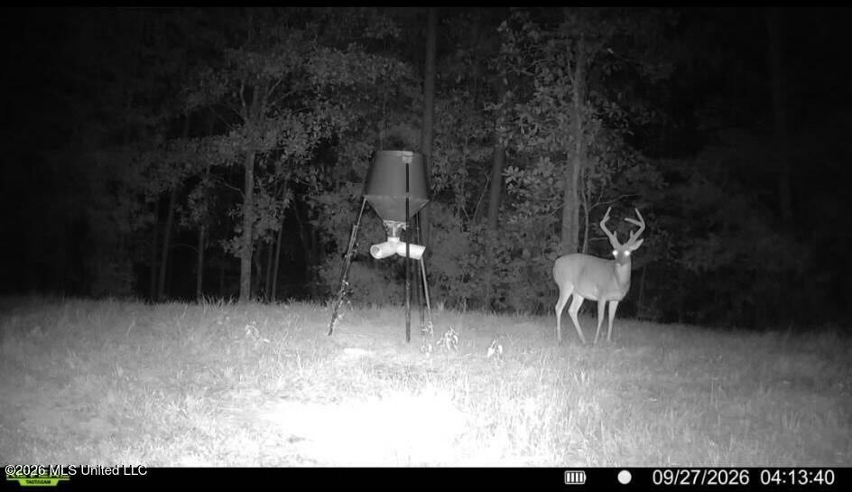 43± Acre Hunting Property in Amite County, MS